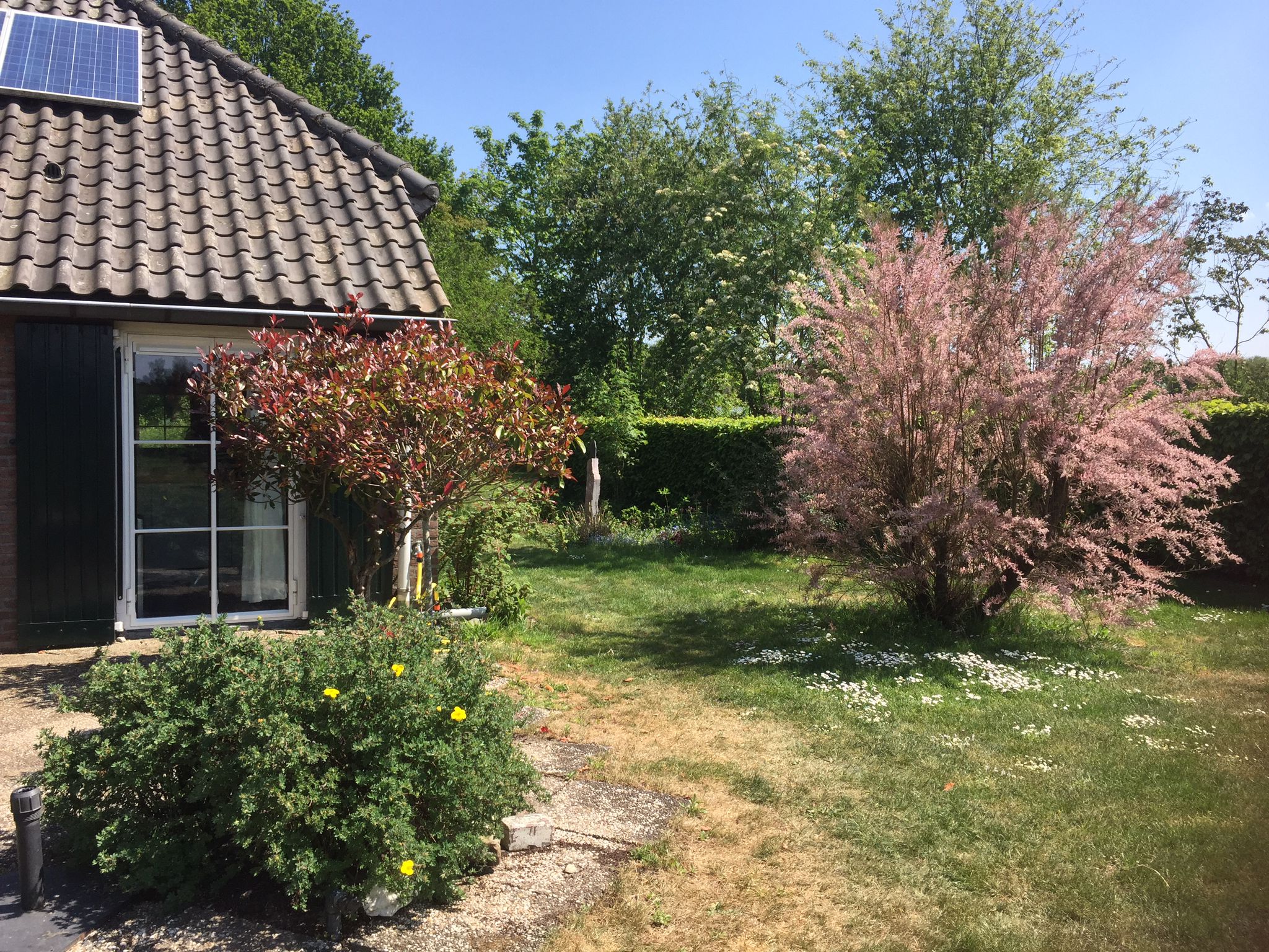 Naturhäuschen in Mill