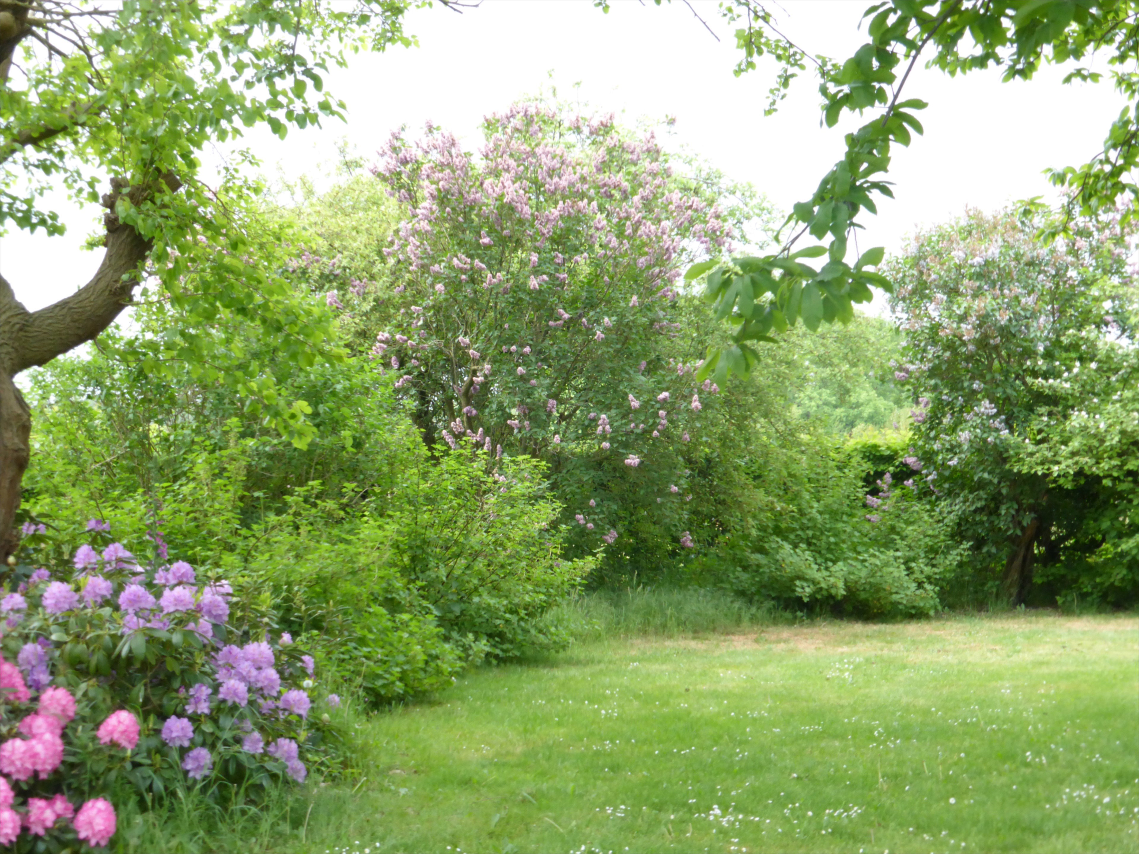 Naturhäuschen in Mill