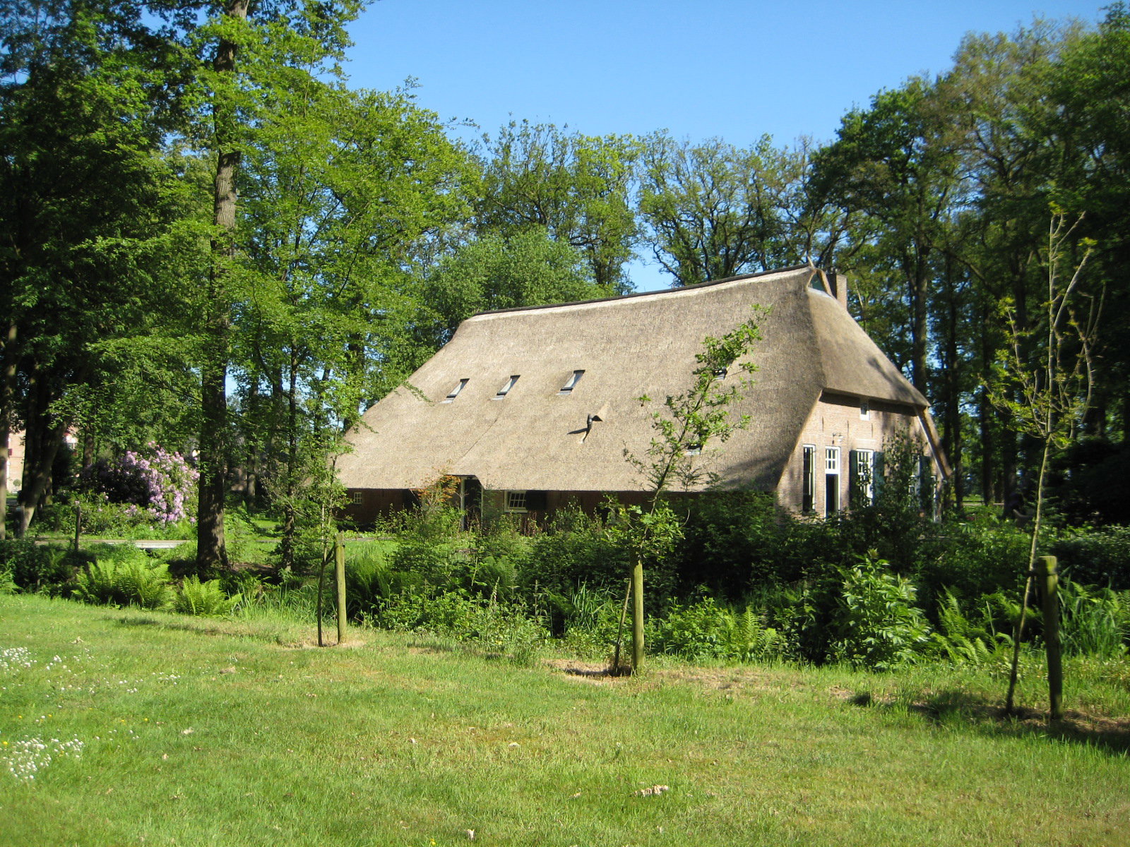 - image: 27