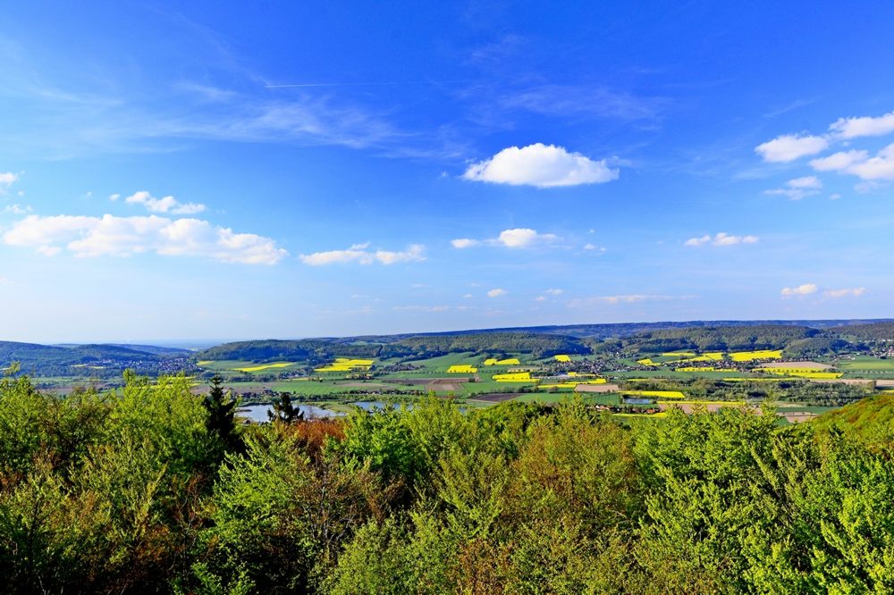 - image: 21