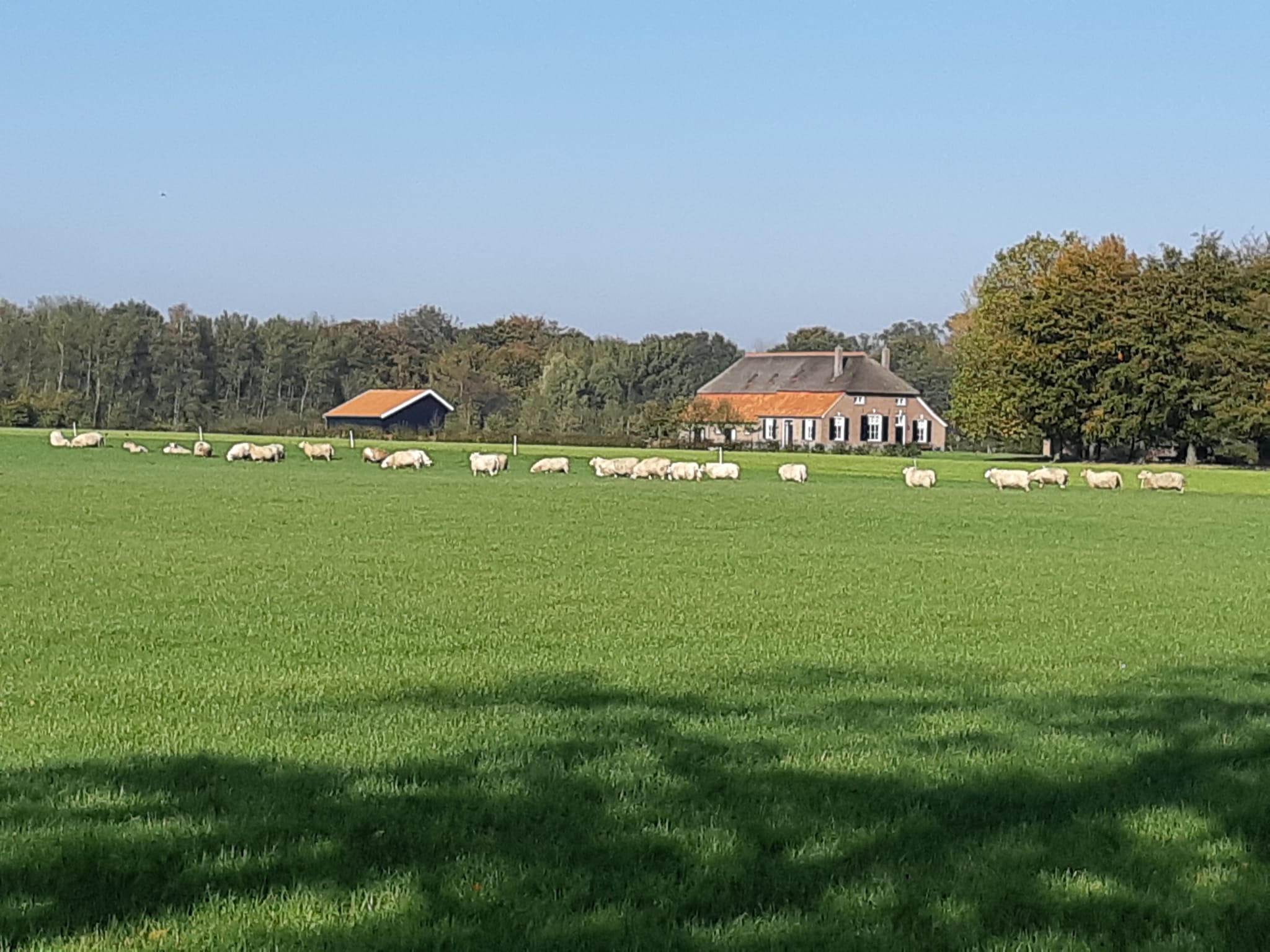 Naturhäuschen in Vorden Achterhoek