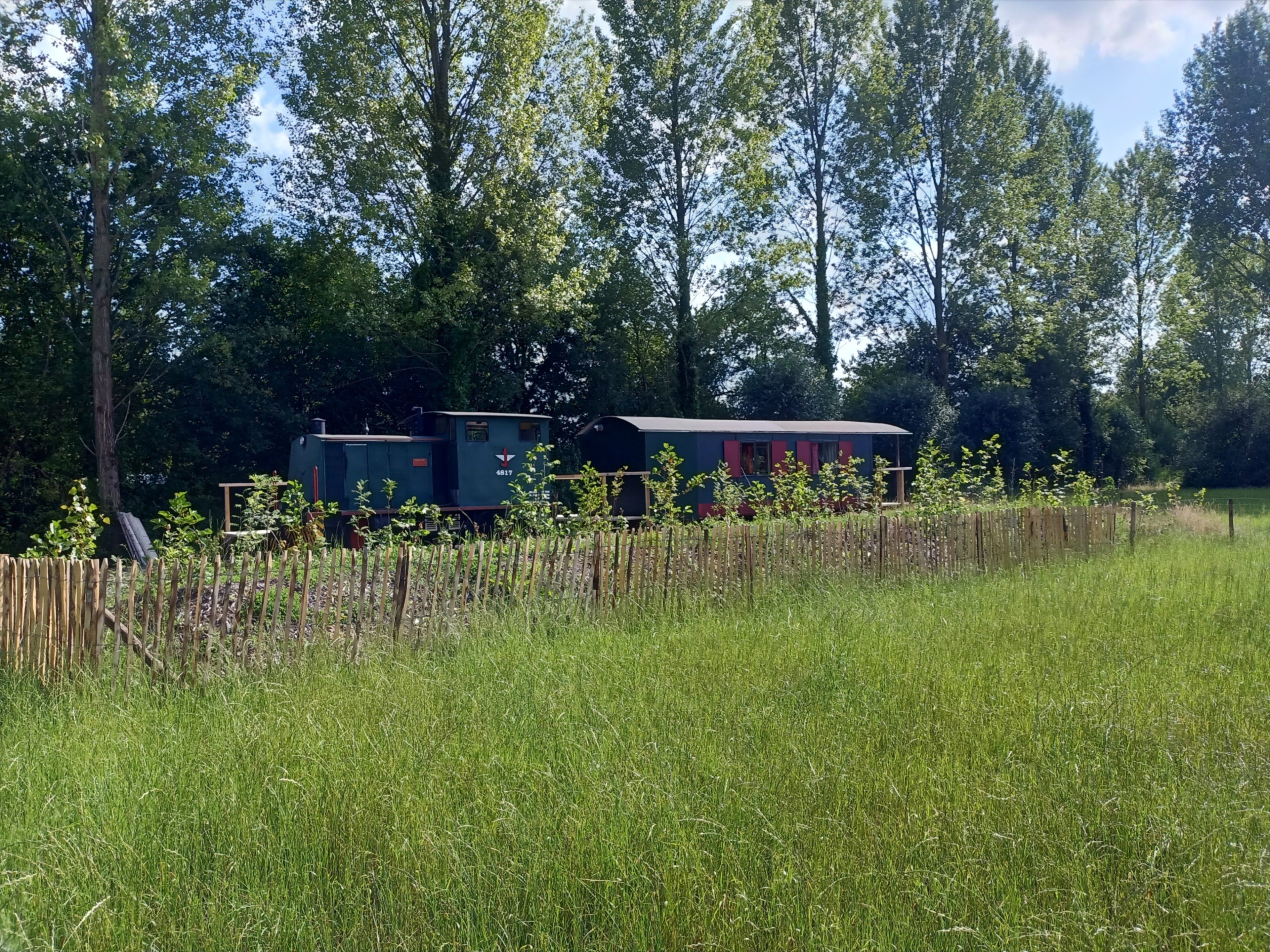 - image: 13