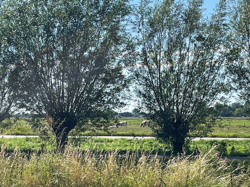 Natuurhuisje in Hoogblokland