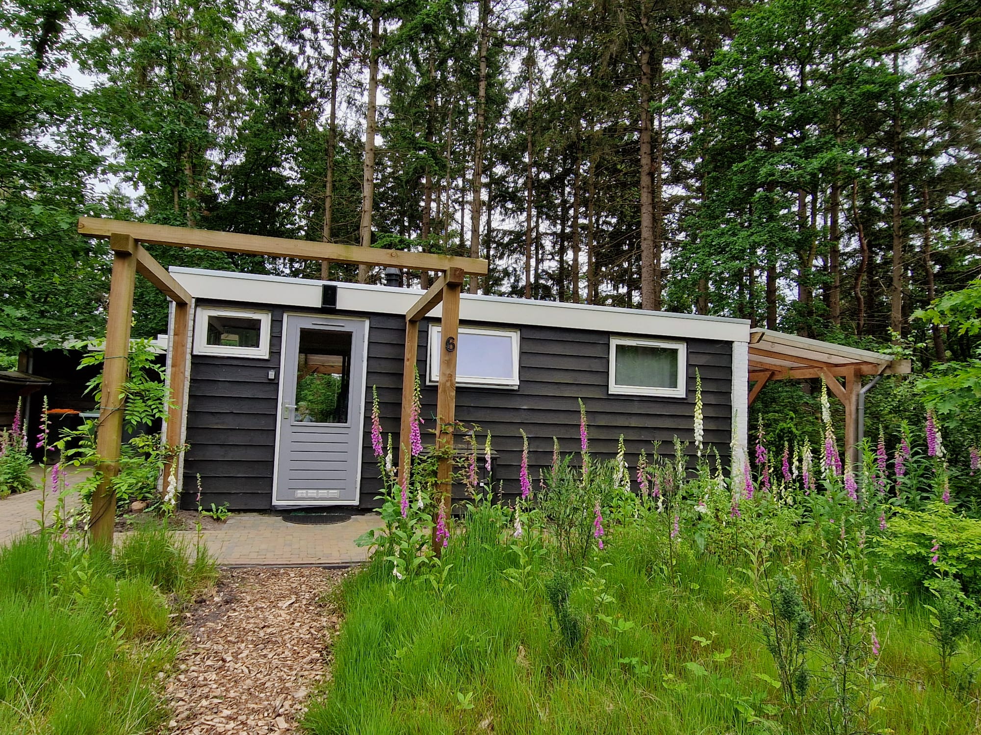 Casa nella natura a Eeserveen