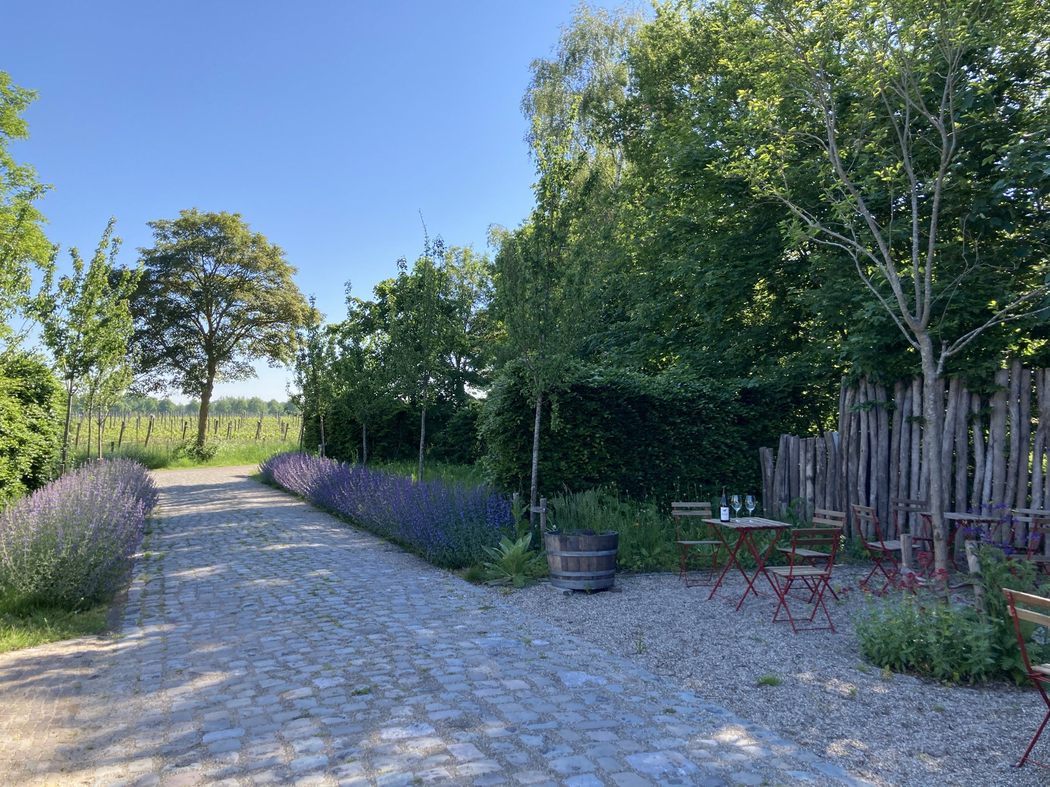 Naturhäuschen in Sint Michielsgestel