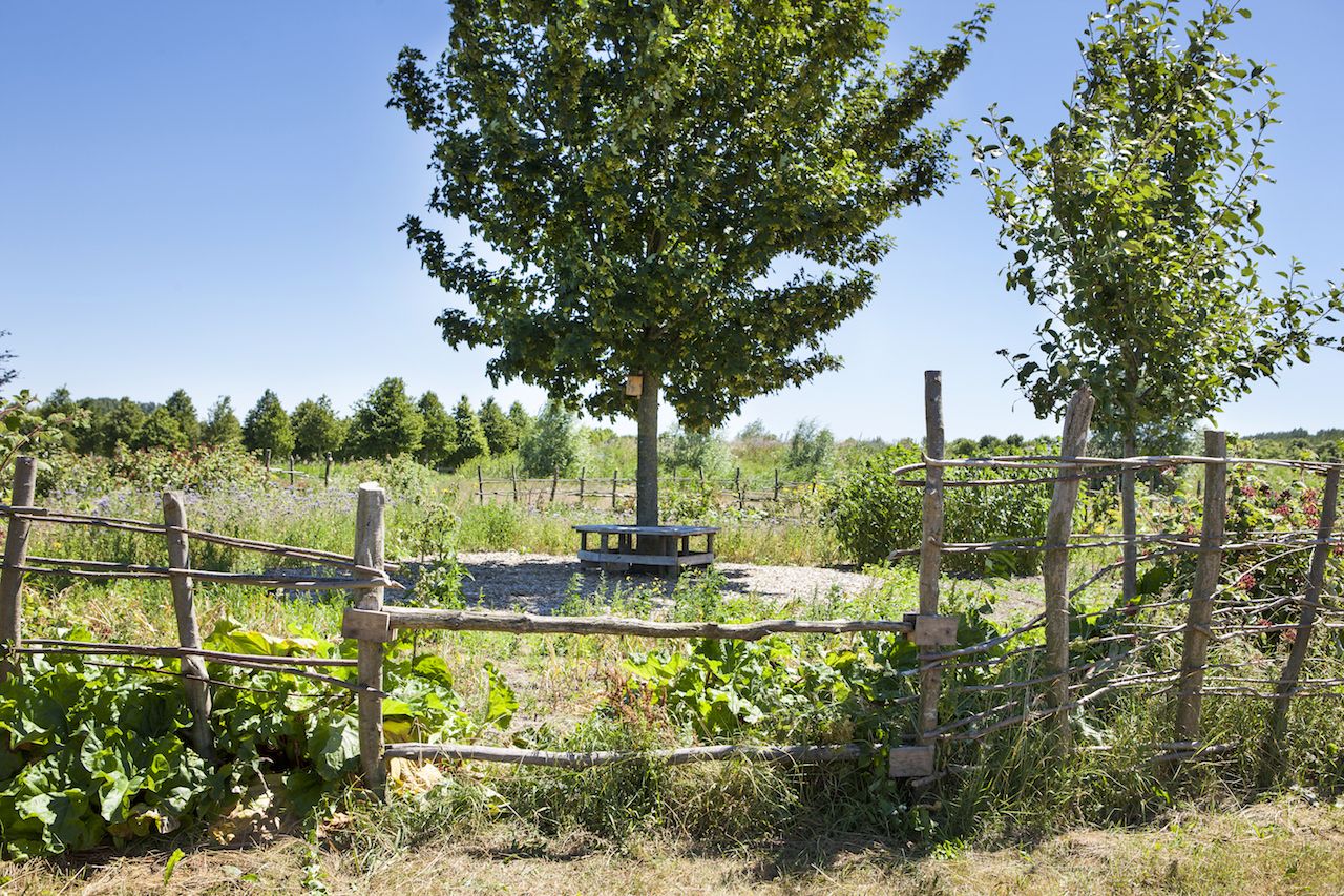 - image: 28