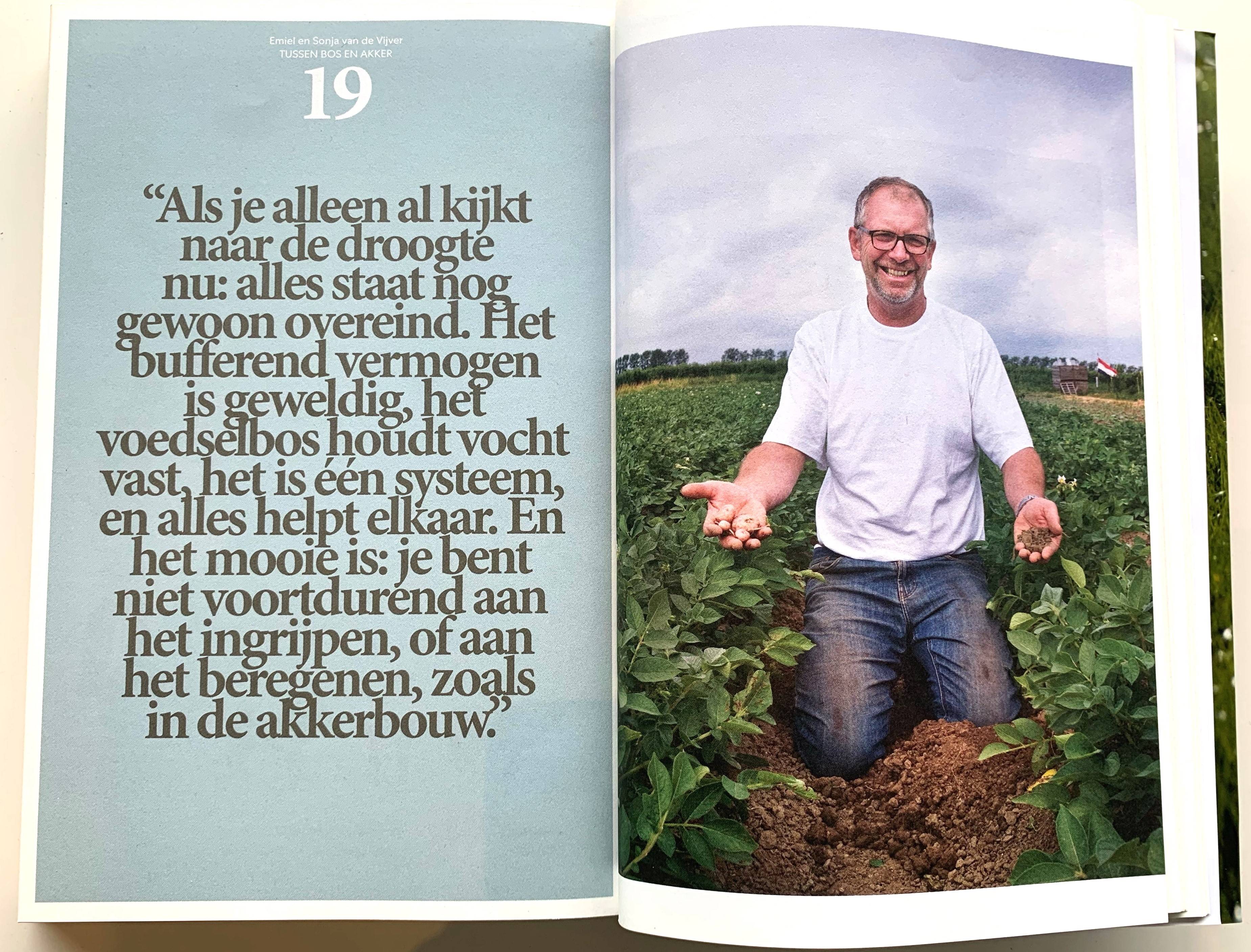 - image: 20