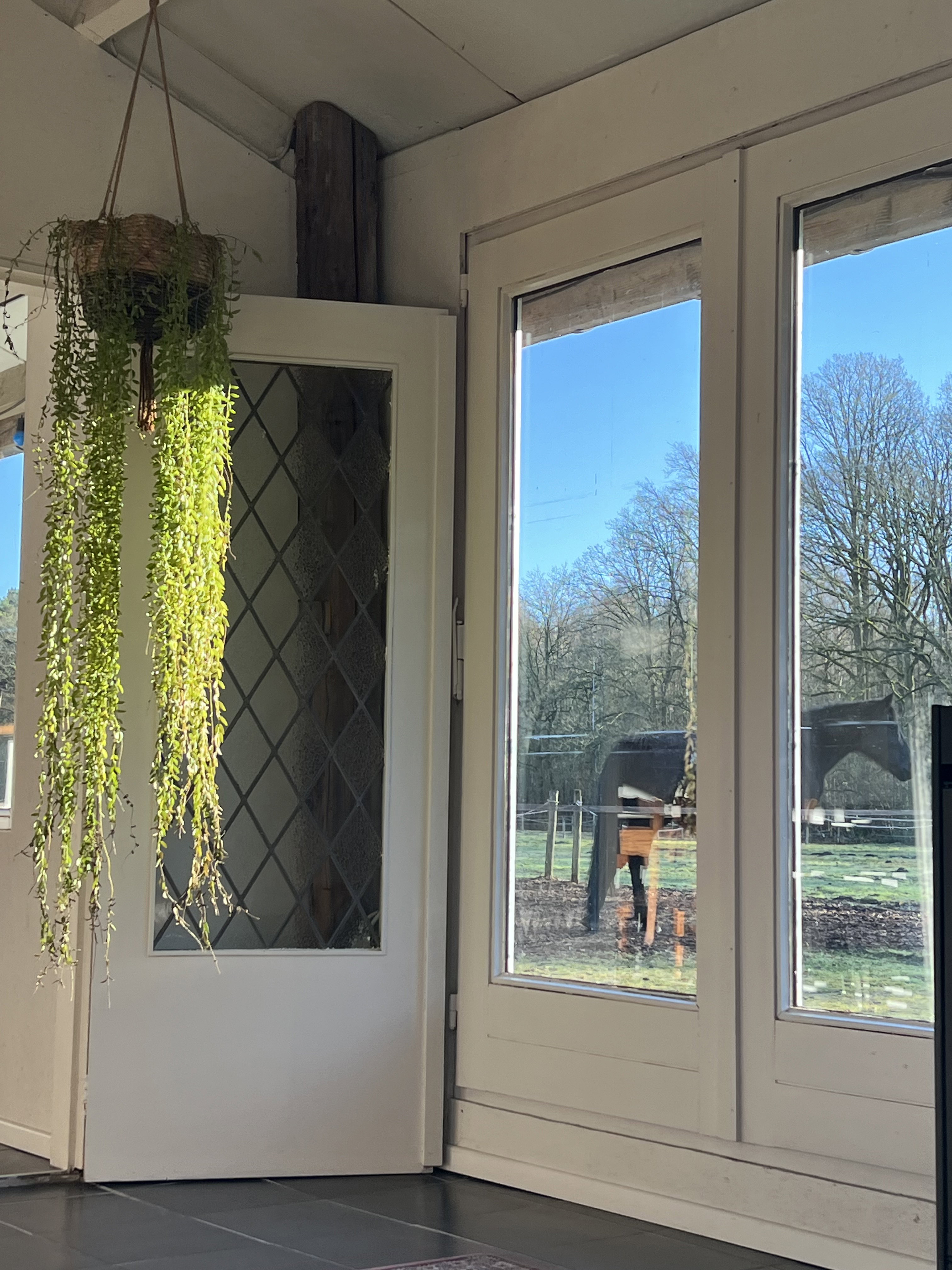 Casa nella natura a Oelegem