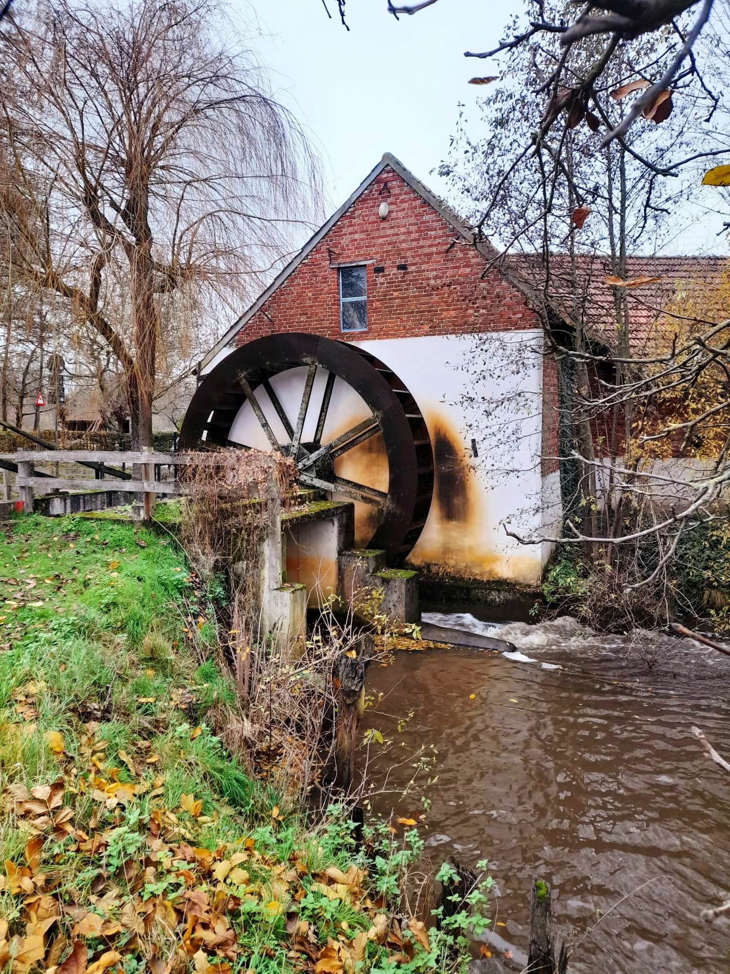 Nature house in Bocholt