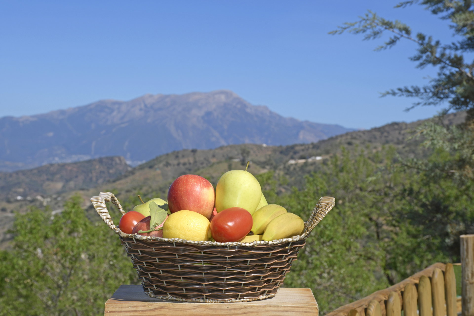 Nature house in Comares