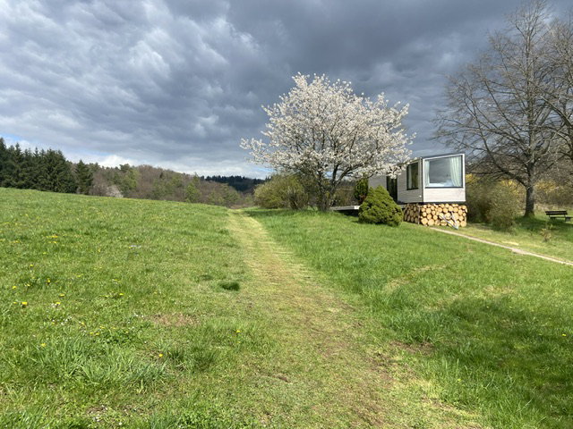 - image: 23