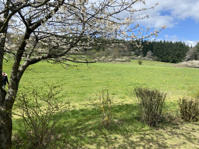 - image: 22