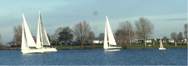 Natuurhuisje in Maasbommel