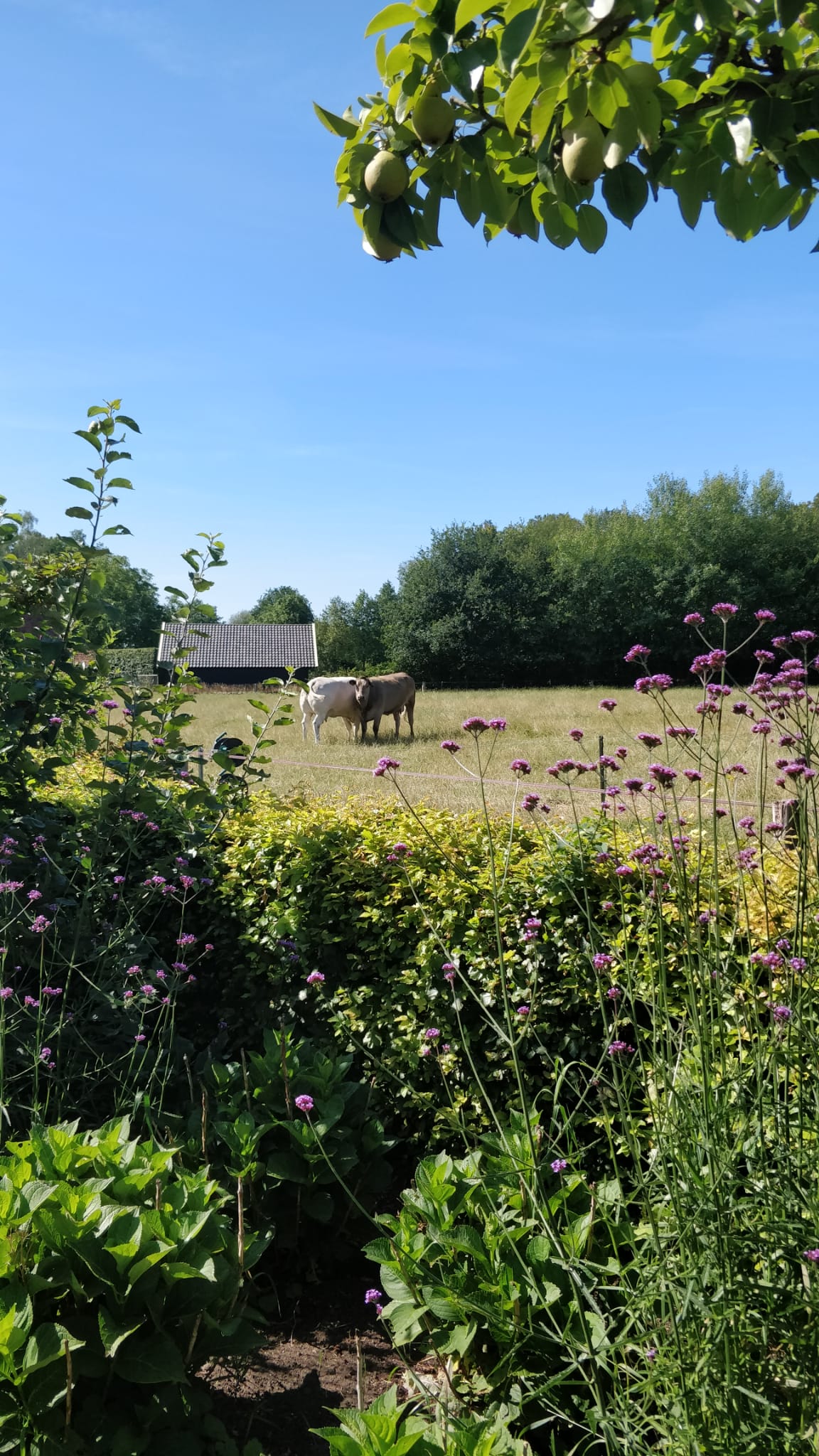 Maison nature à Ambt Delden