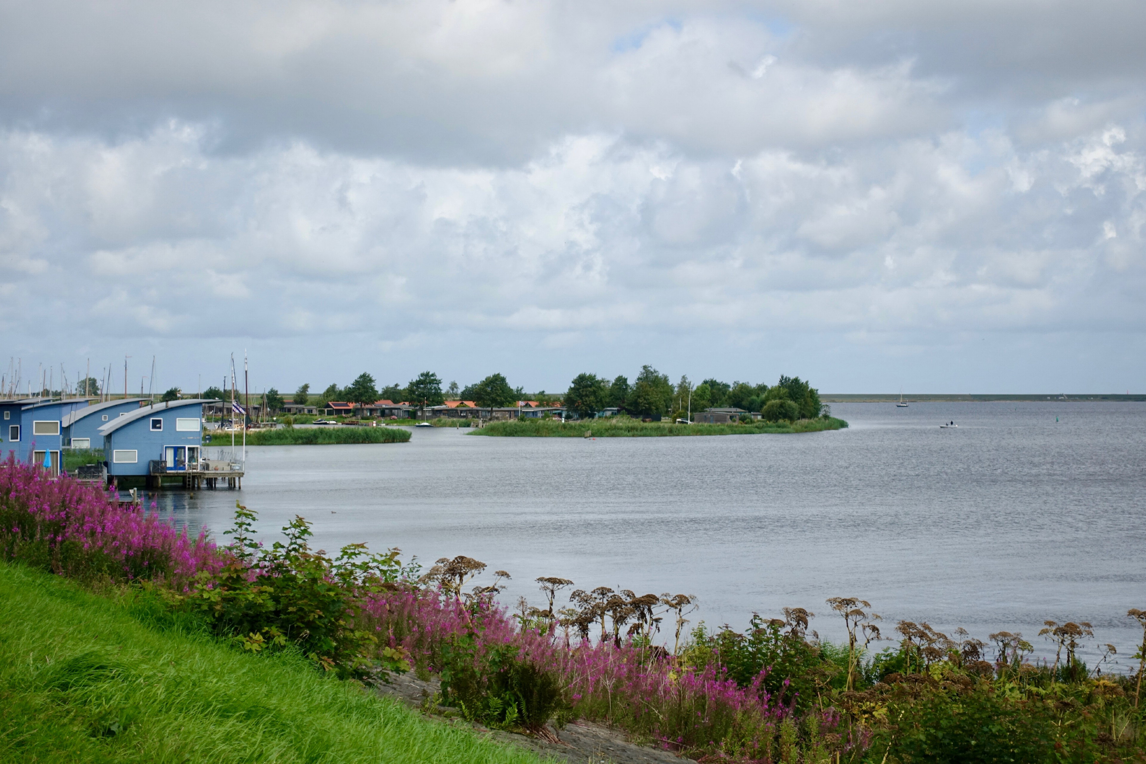 - image: 22