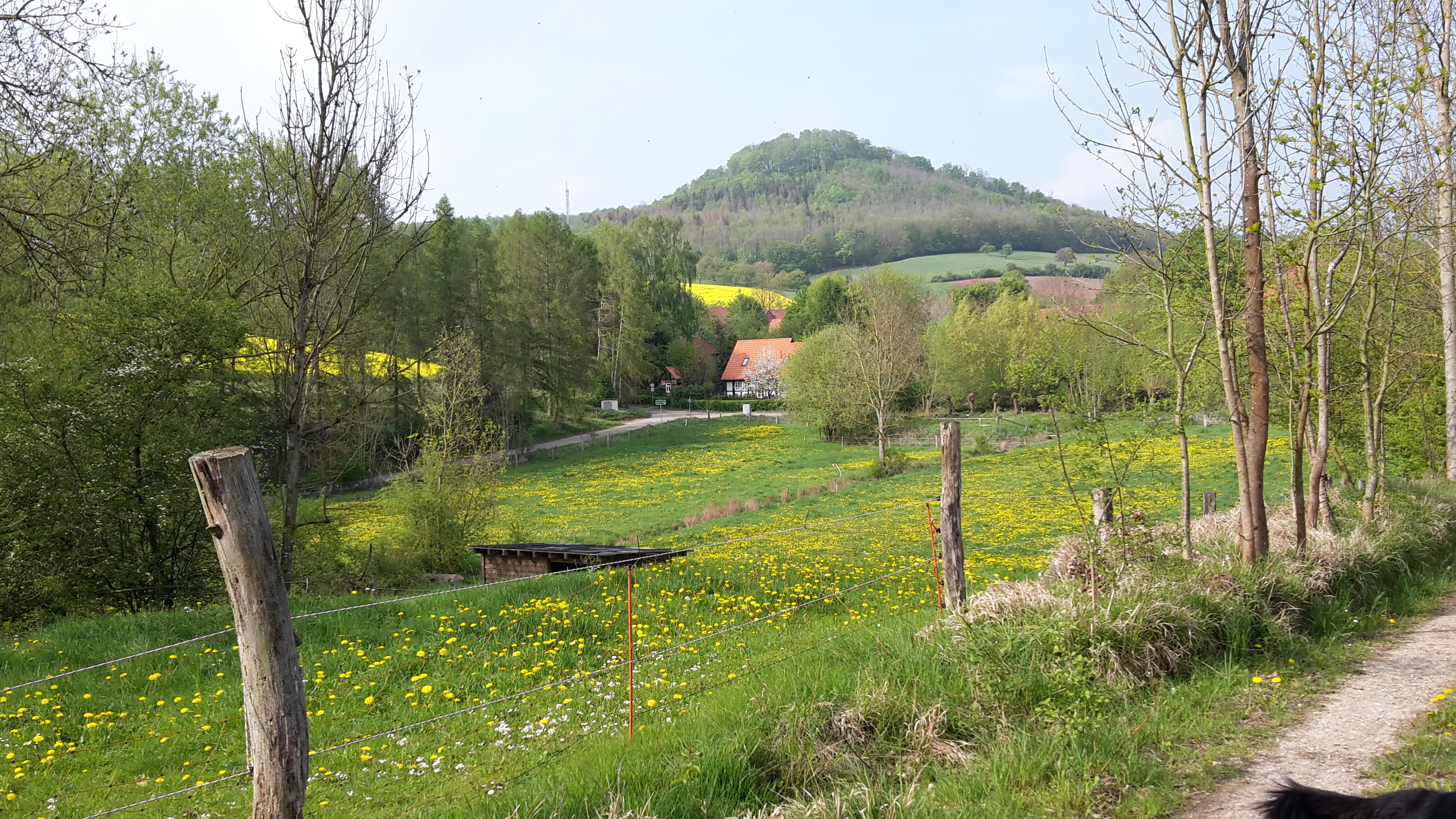 Casa nella natura a Gleichen