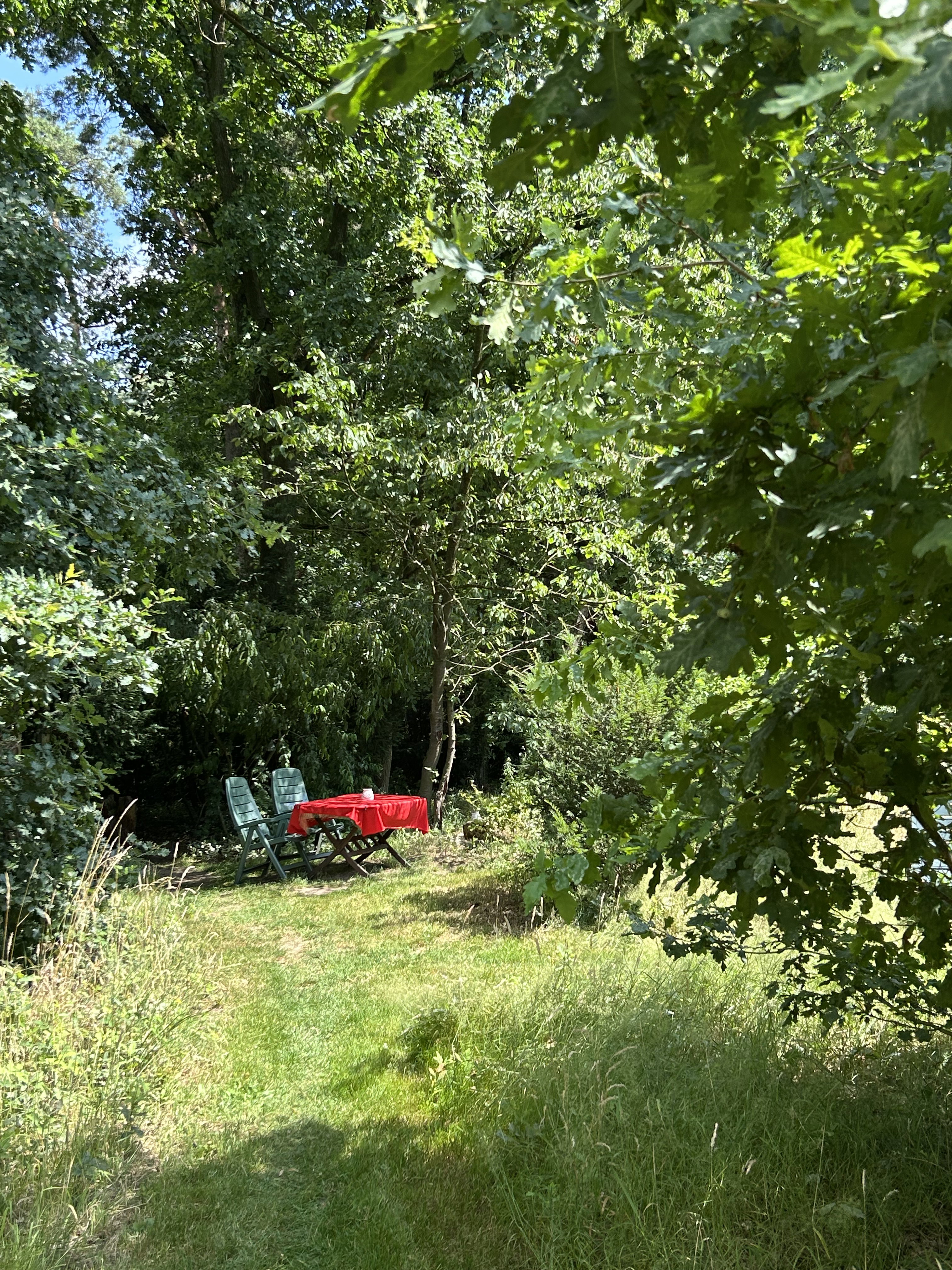 Natuurhuisje in Koningsbosch