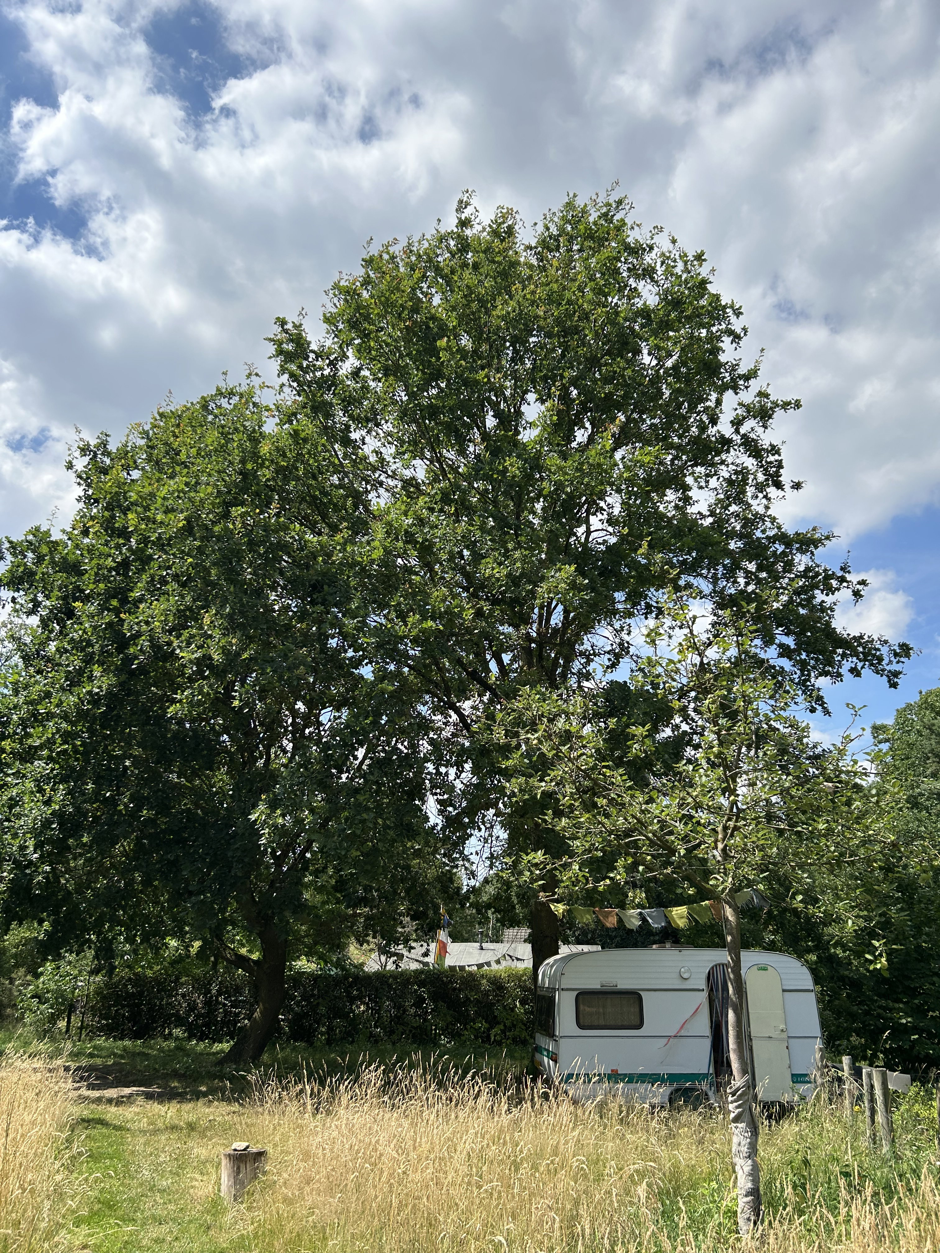 Natuurhuisje in Koningsbosch
