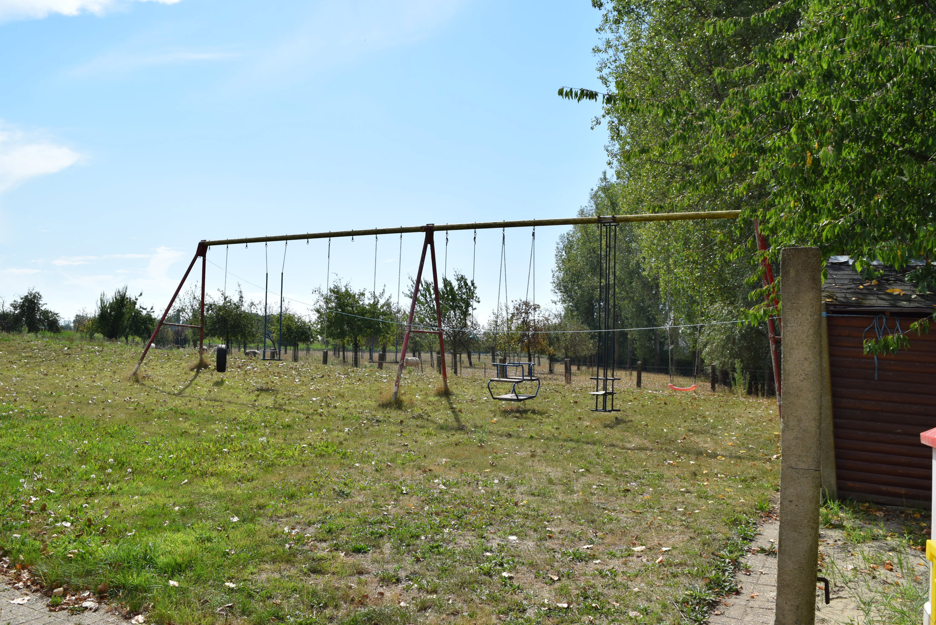 - image: 17