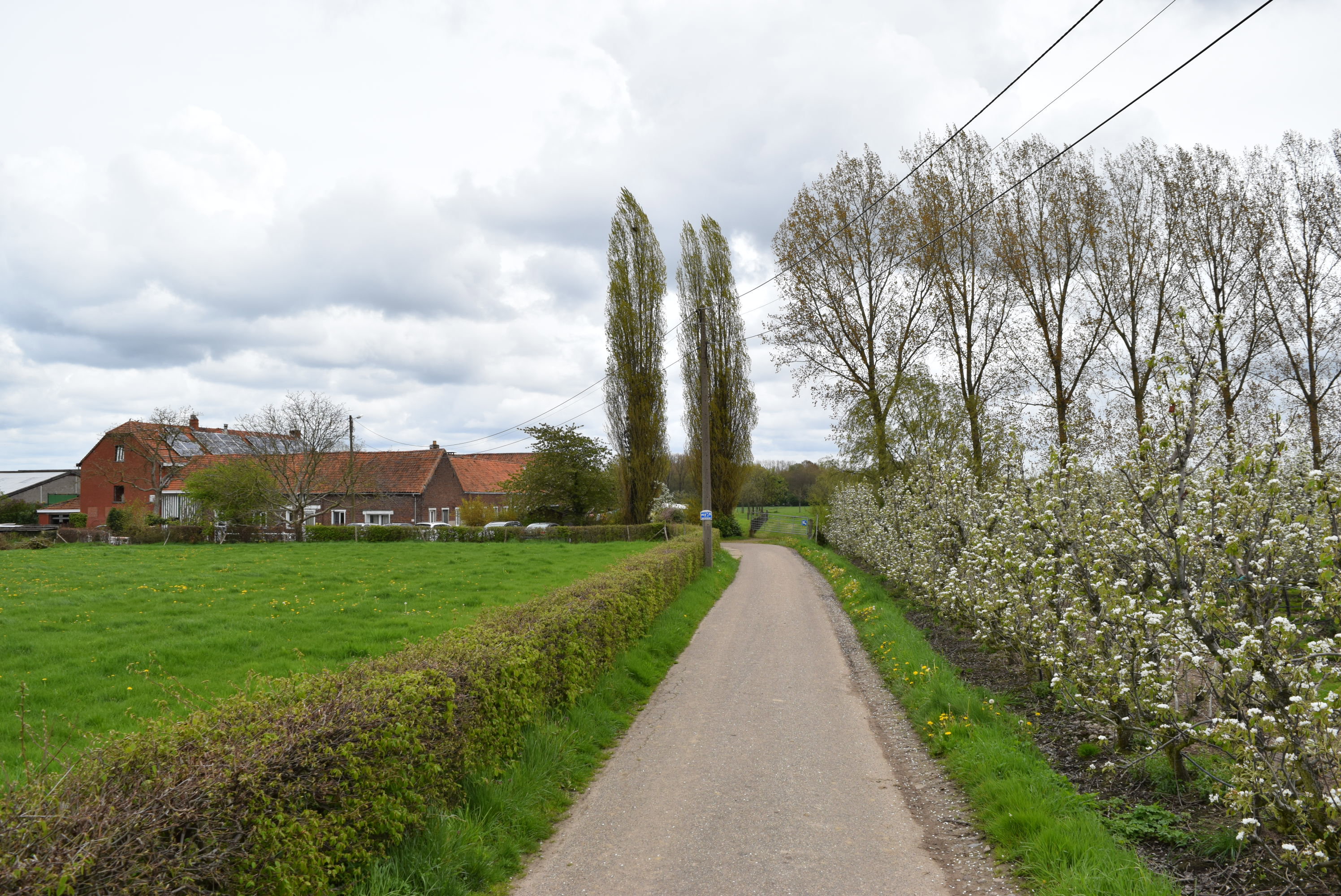Natuurhuisje in Herk-de-Stad