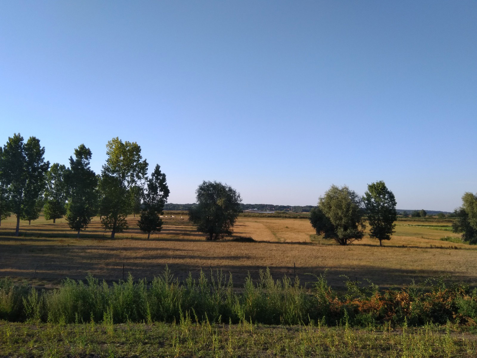 - image: 25