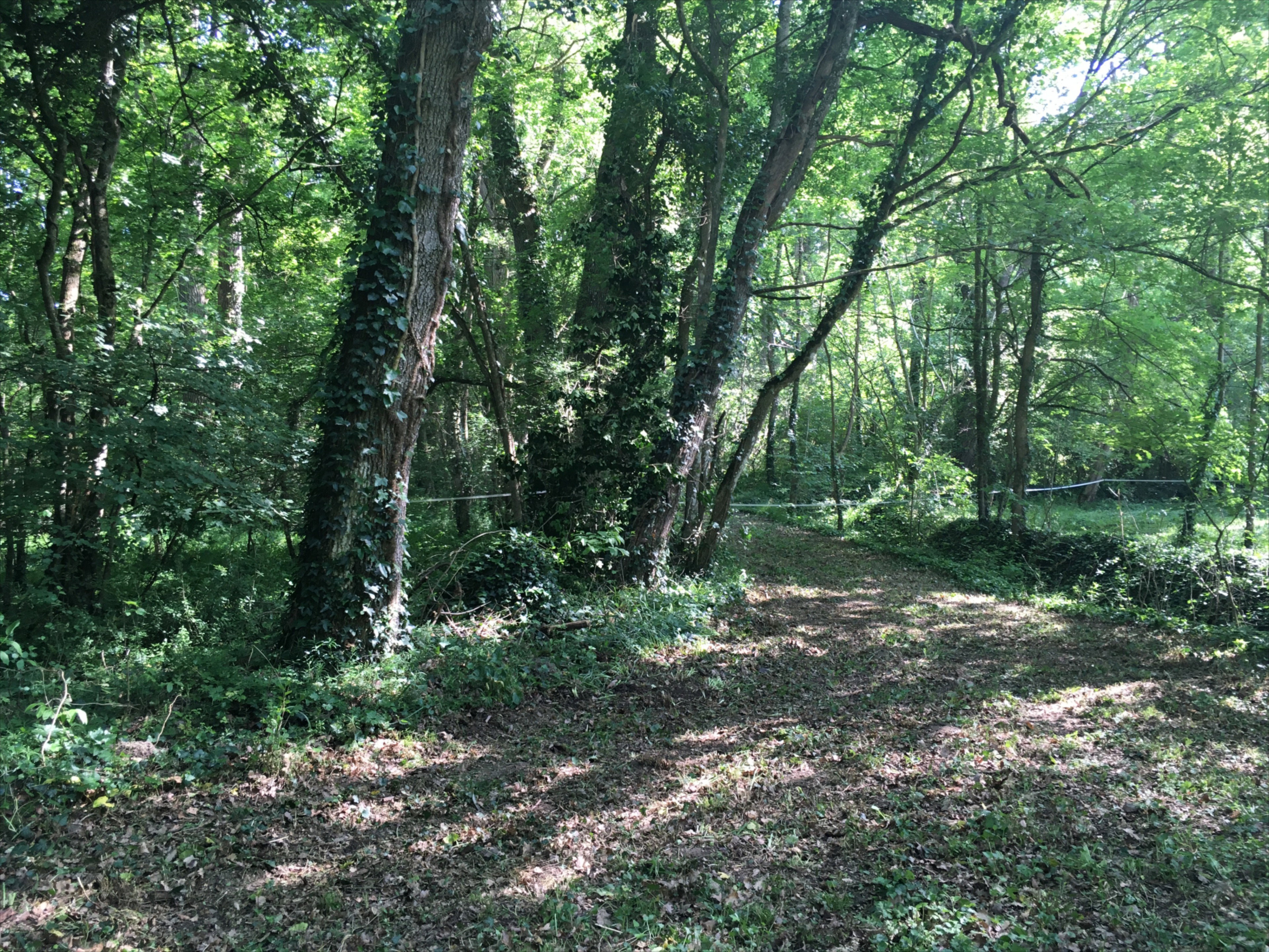 Natuurhuisje in CIZAY LA MADELEINE