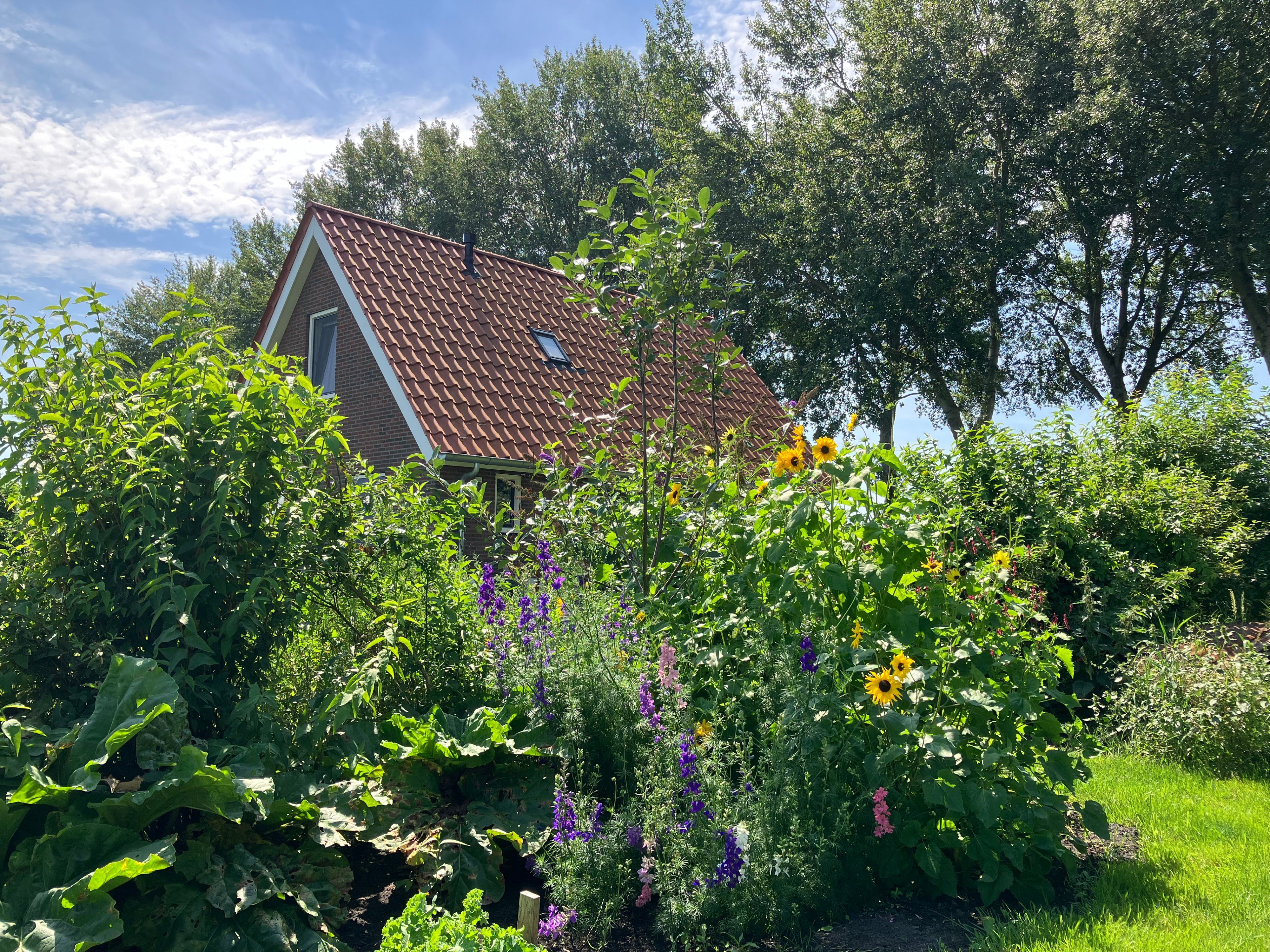 Naturhäuschen in Exloërveen