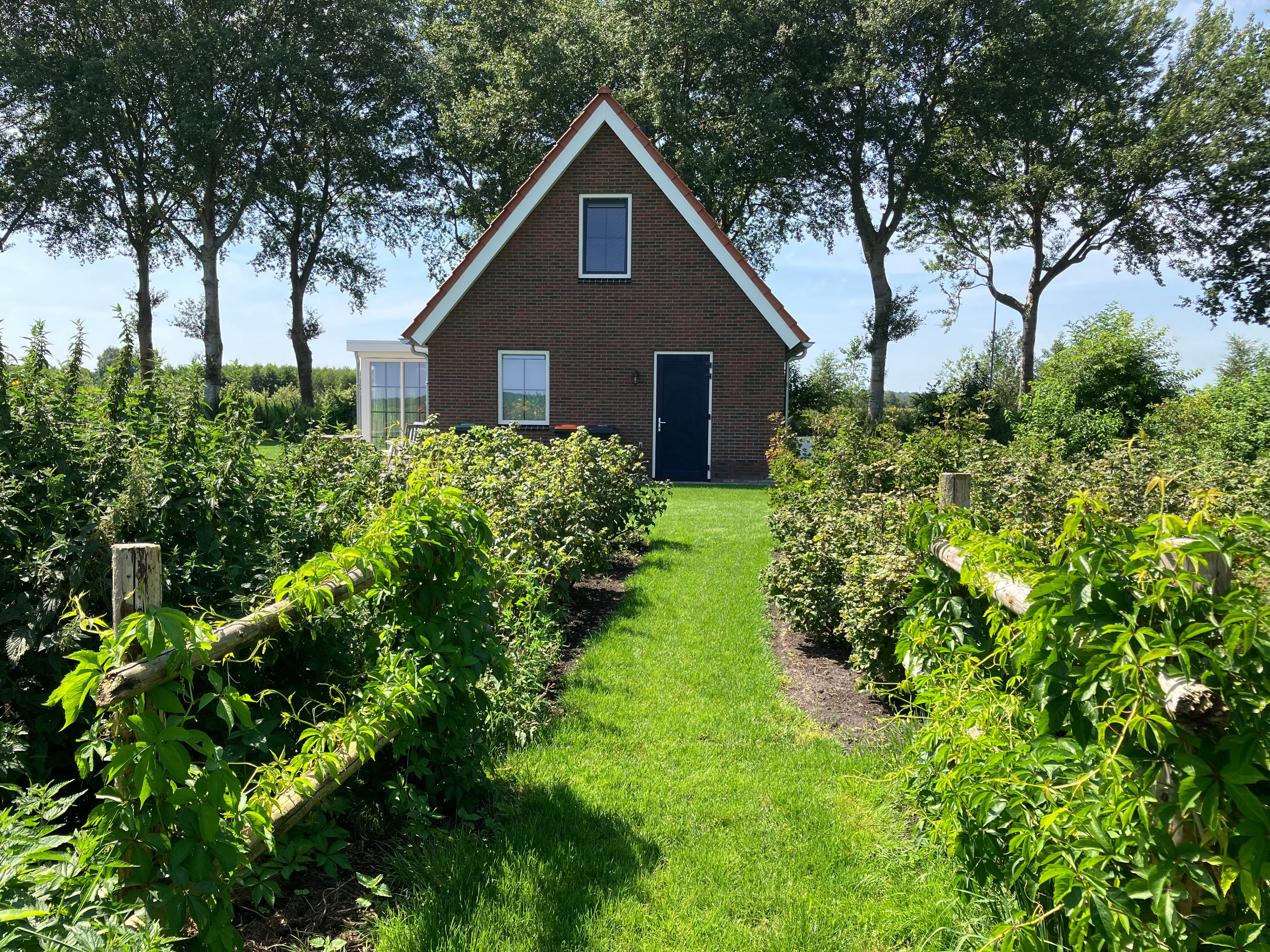 Naturhäuschen in Exloërveen