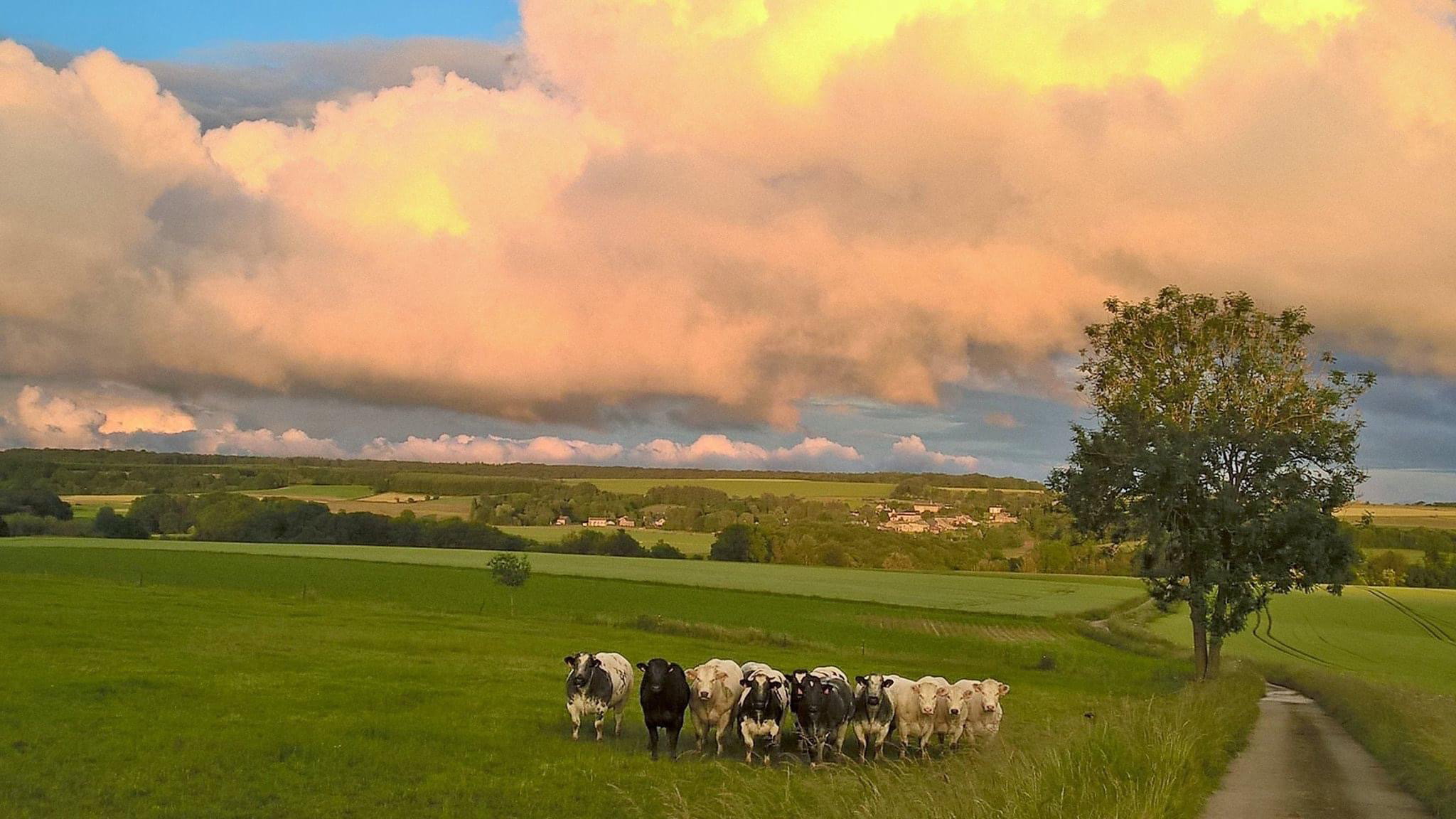 Naturhäuschen in Méan