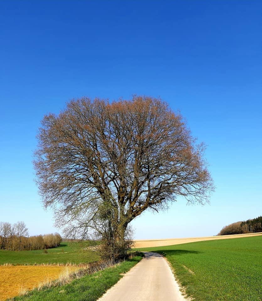 Naturhäuschen in Méan