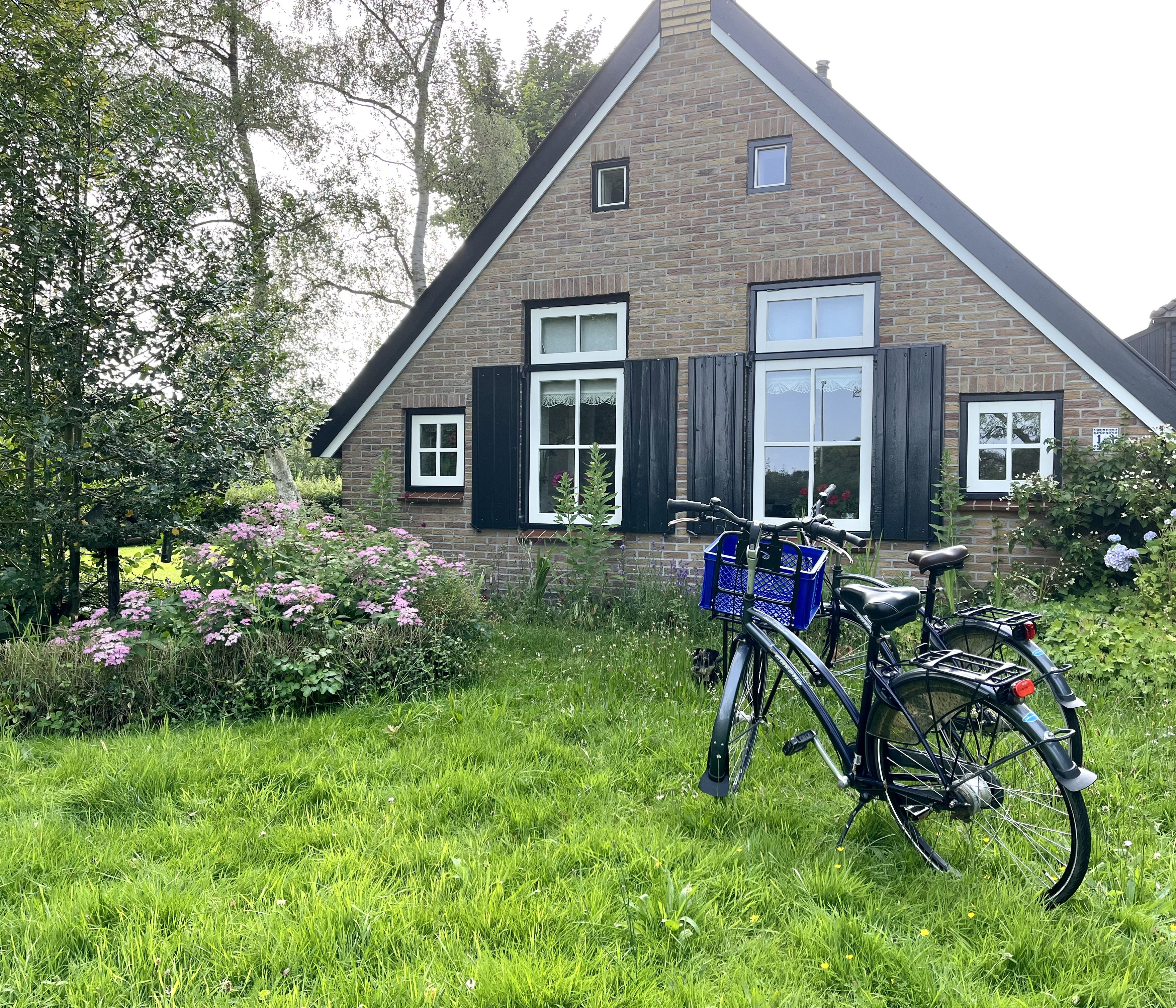 Natuurhuisje in Eesveen in Noordwest-Overijssel