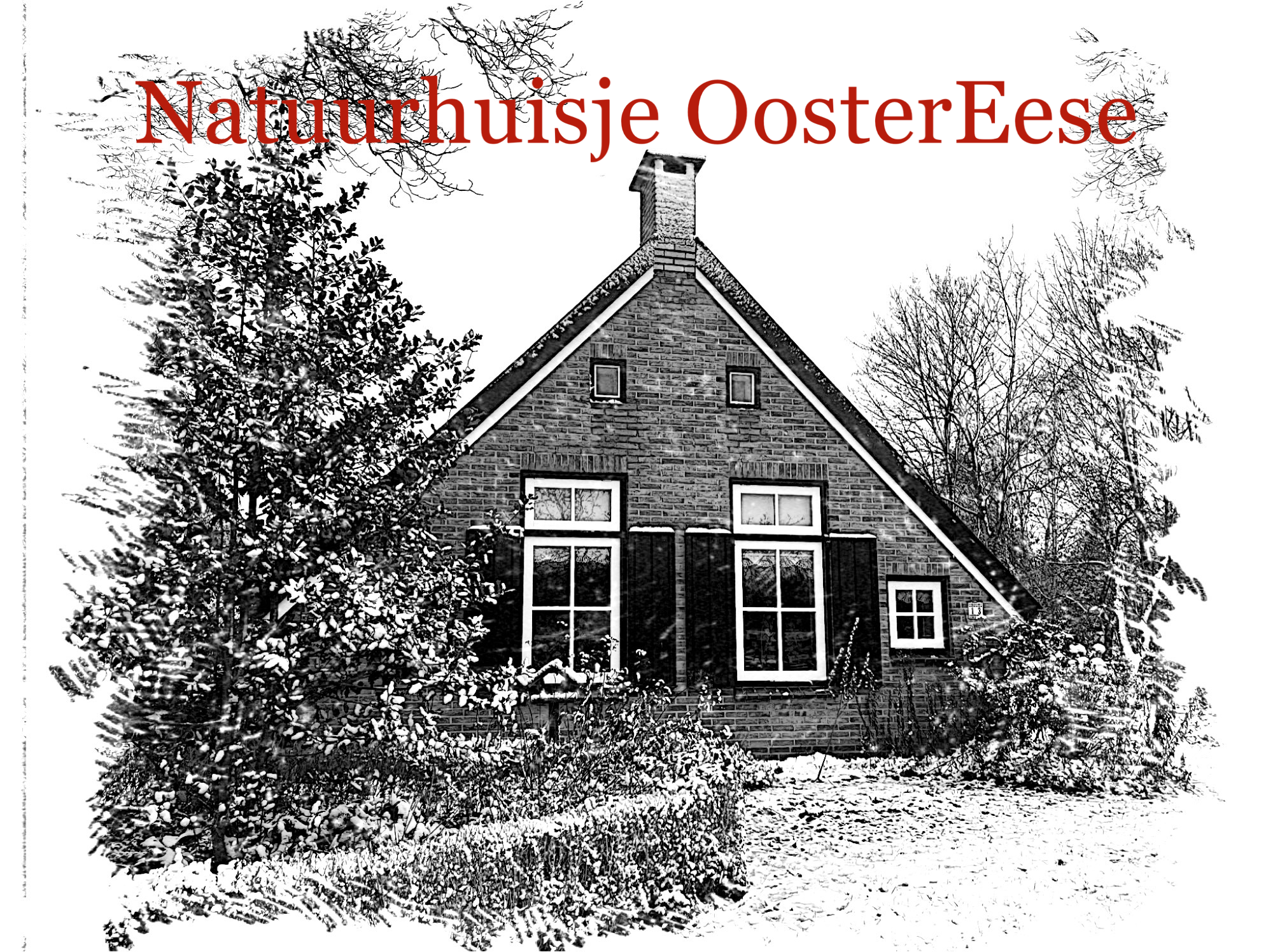 Natuurhuisje in Eesveen in Noordwest-Overijssel