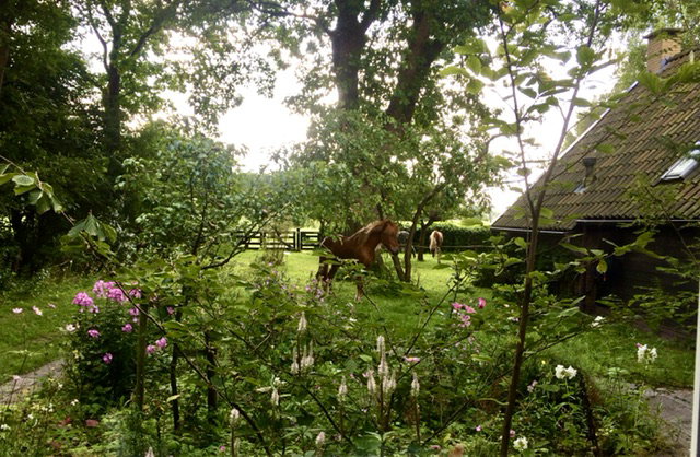 - image: 28
