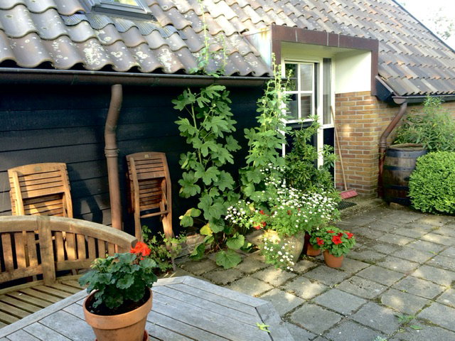 - image: 24