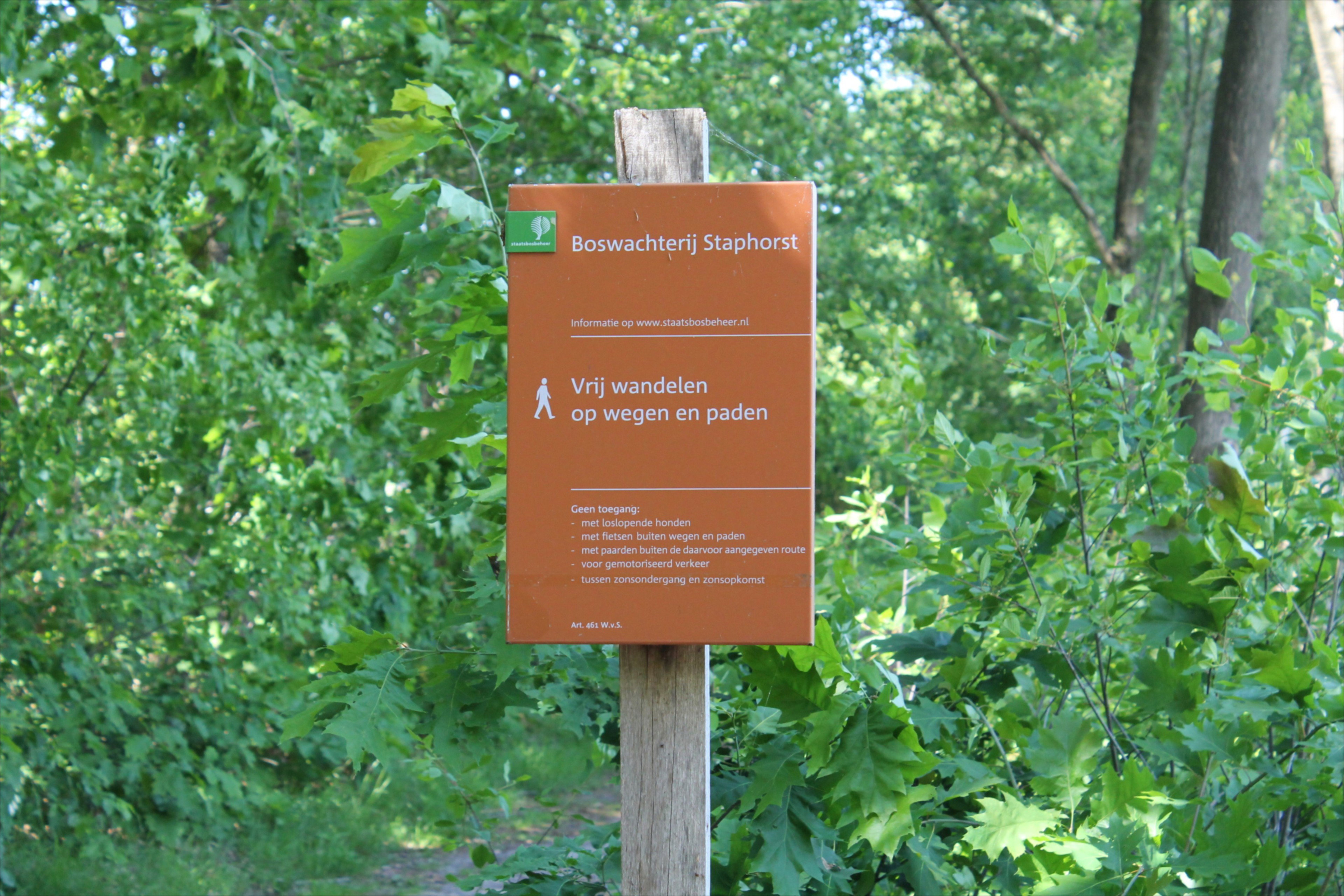 - image: 19