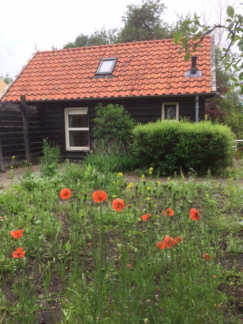 Natuurhuisje in Hellendoorn