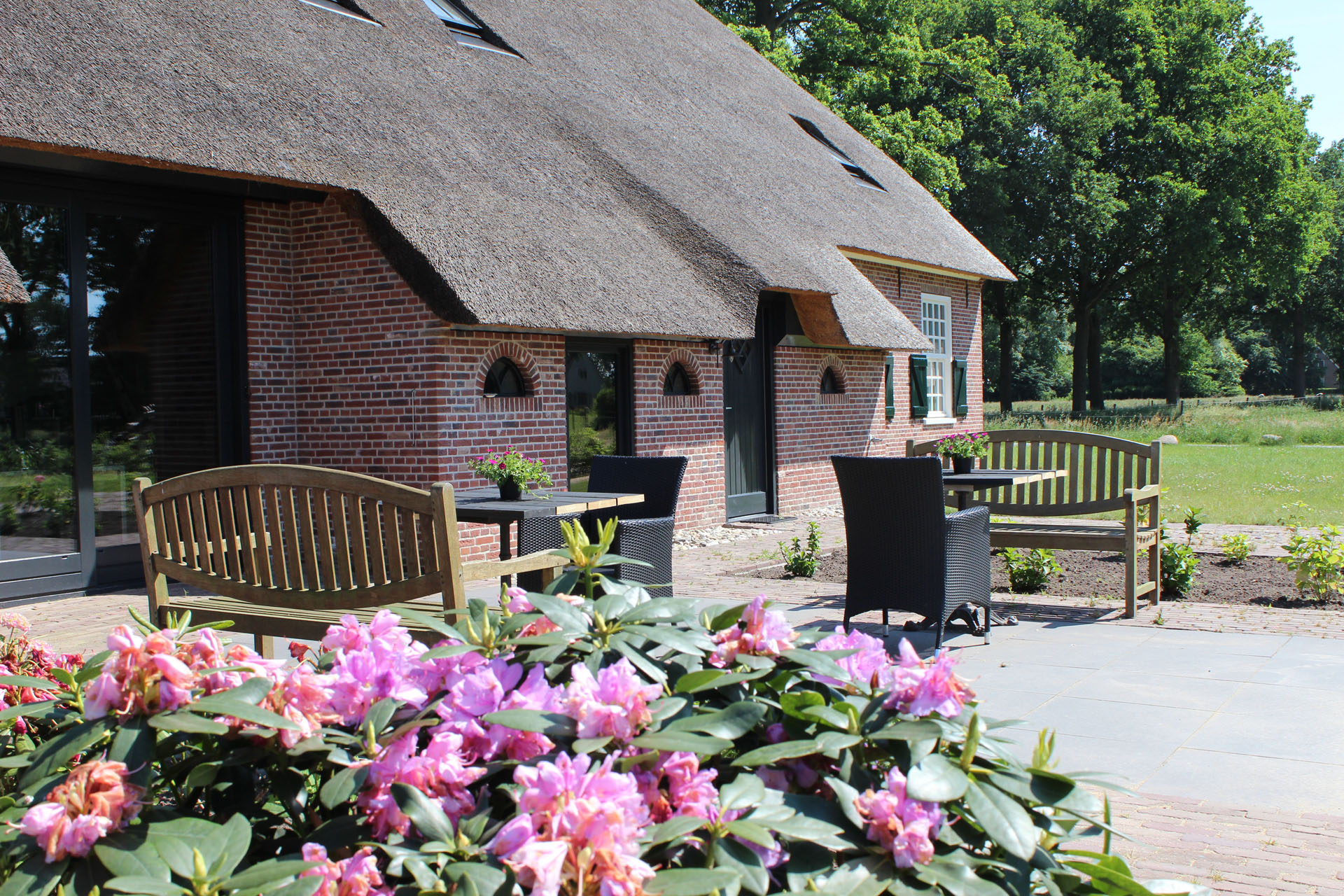 Natuurhuisje in Dwingeloo