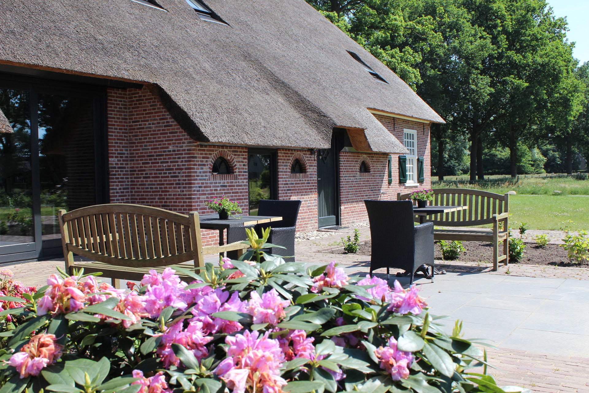 Nature house in Dwingeloo
