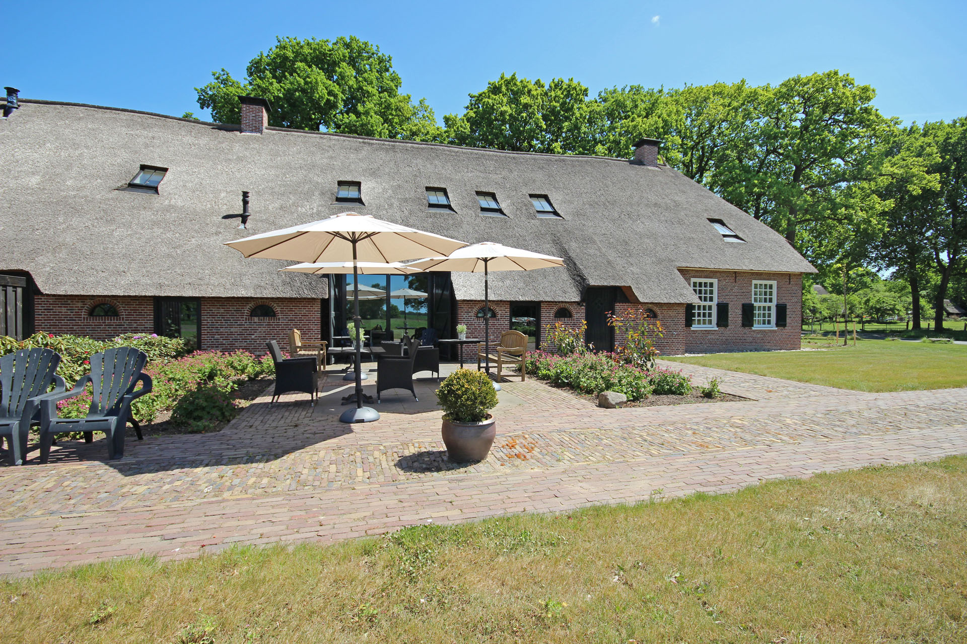 Natuurhuisje in Dwingeloo