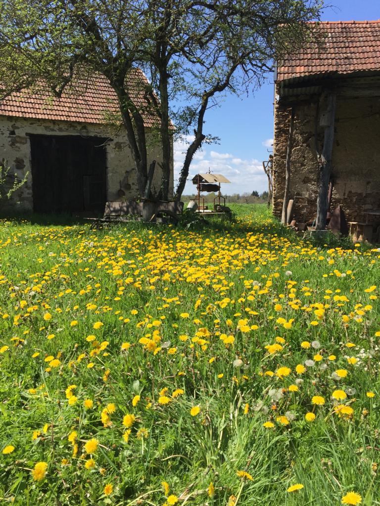 Maison nature à St. Silvain bas-le-roc