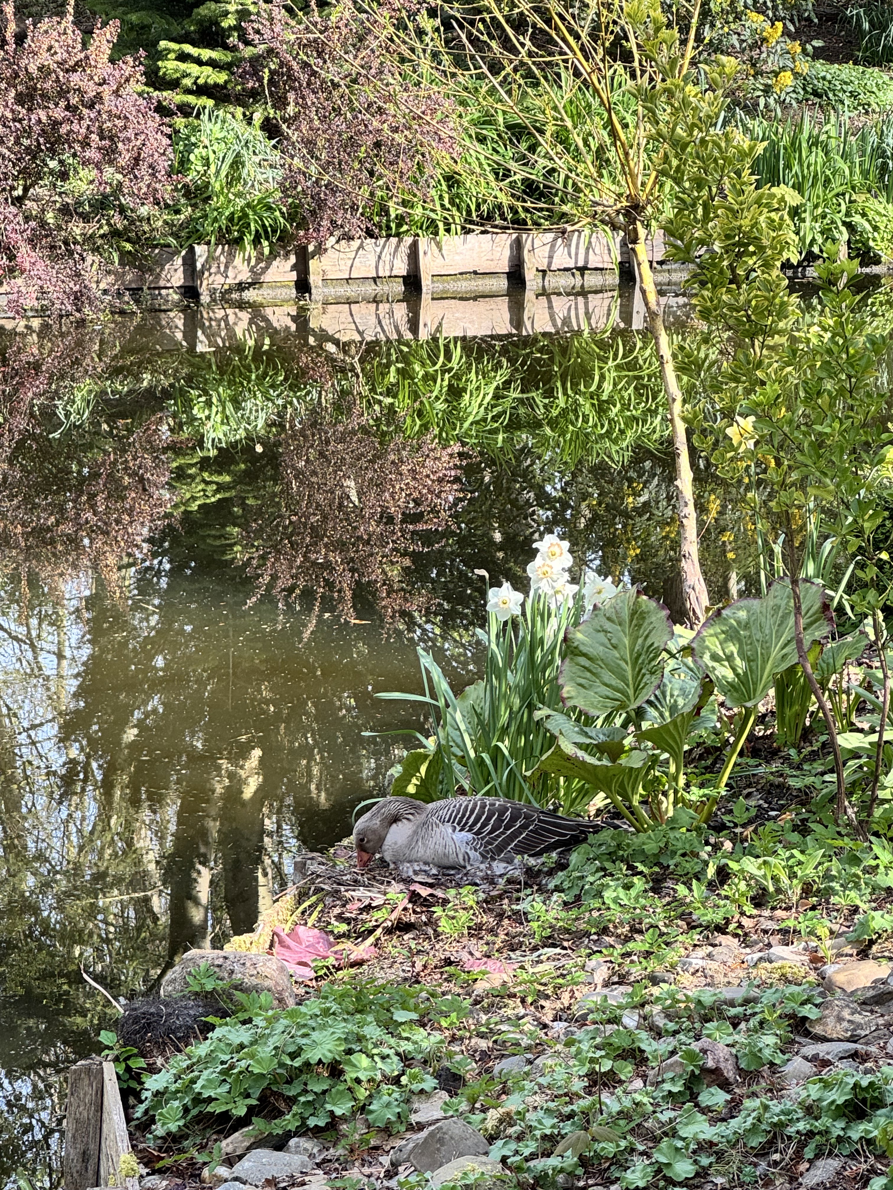 Natuurhuisje in Oosterblokker