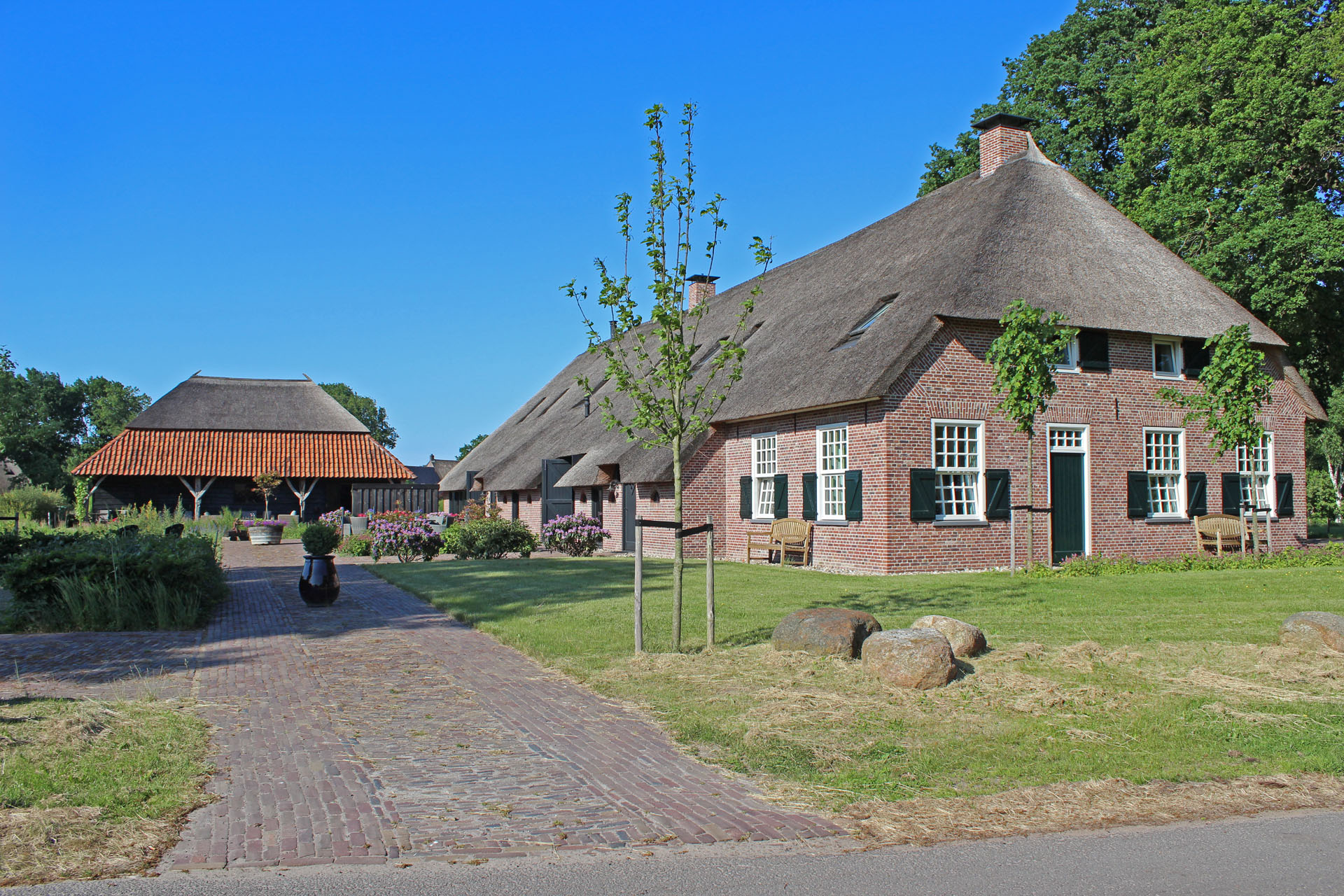 Natuurhuisje in Dwingeloo