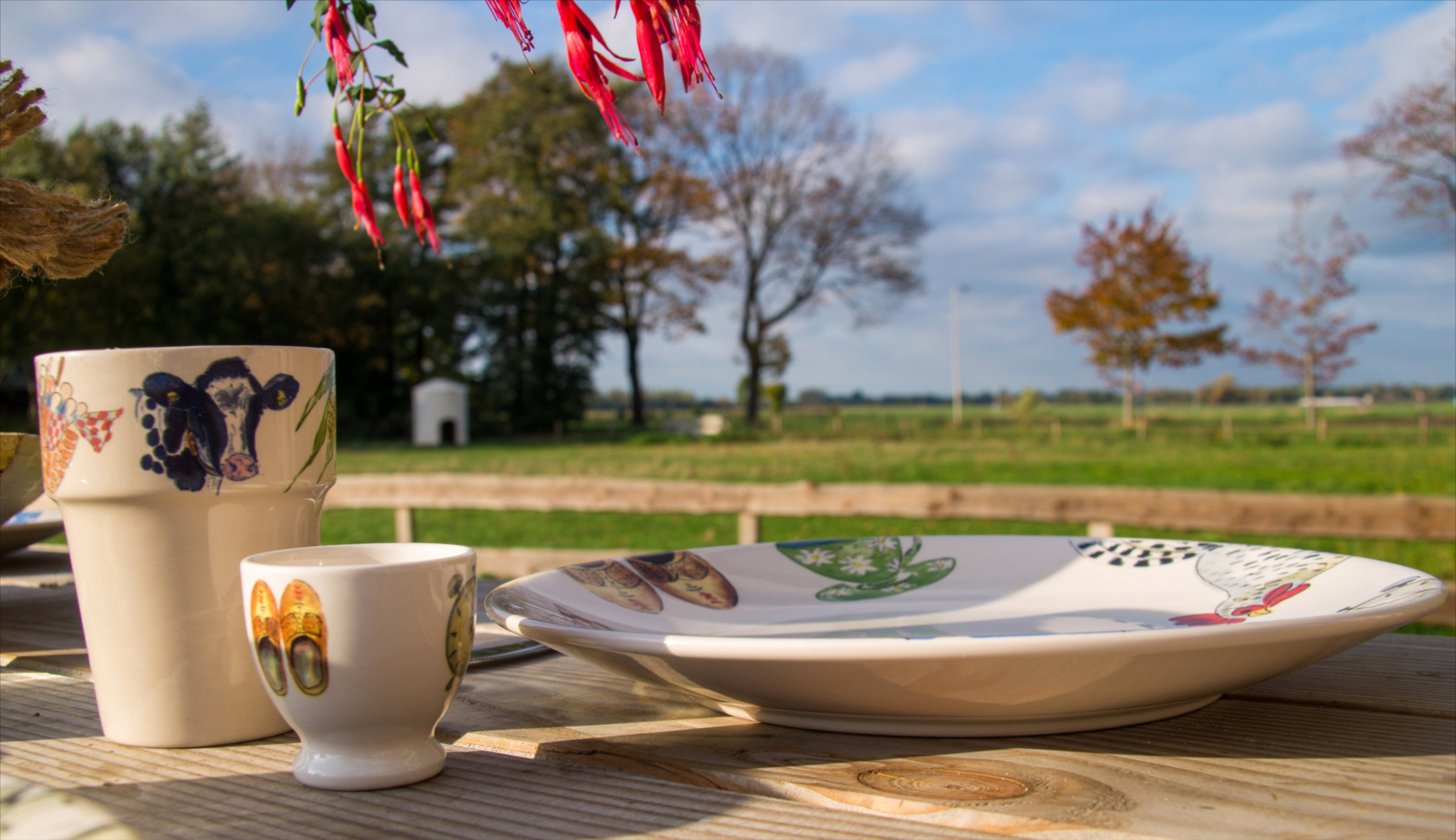 Naturhäuschen in Coevorden