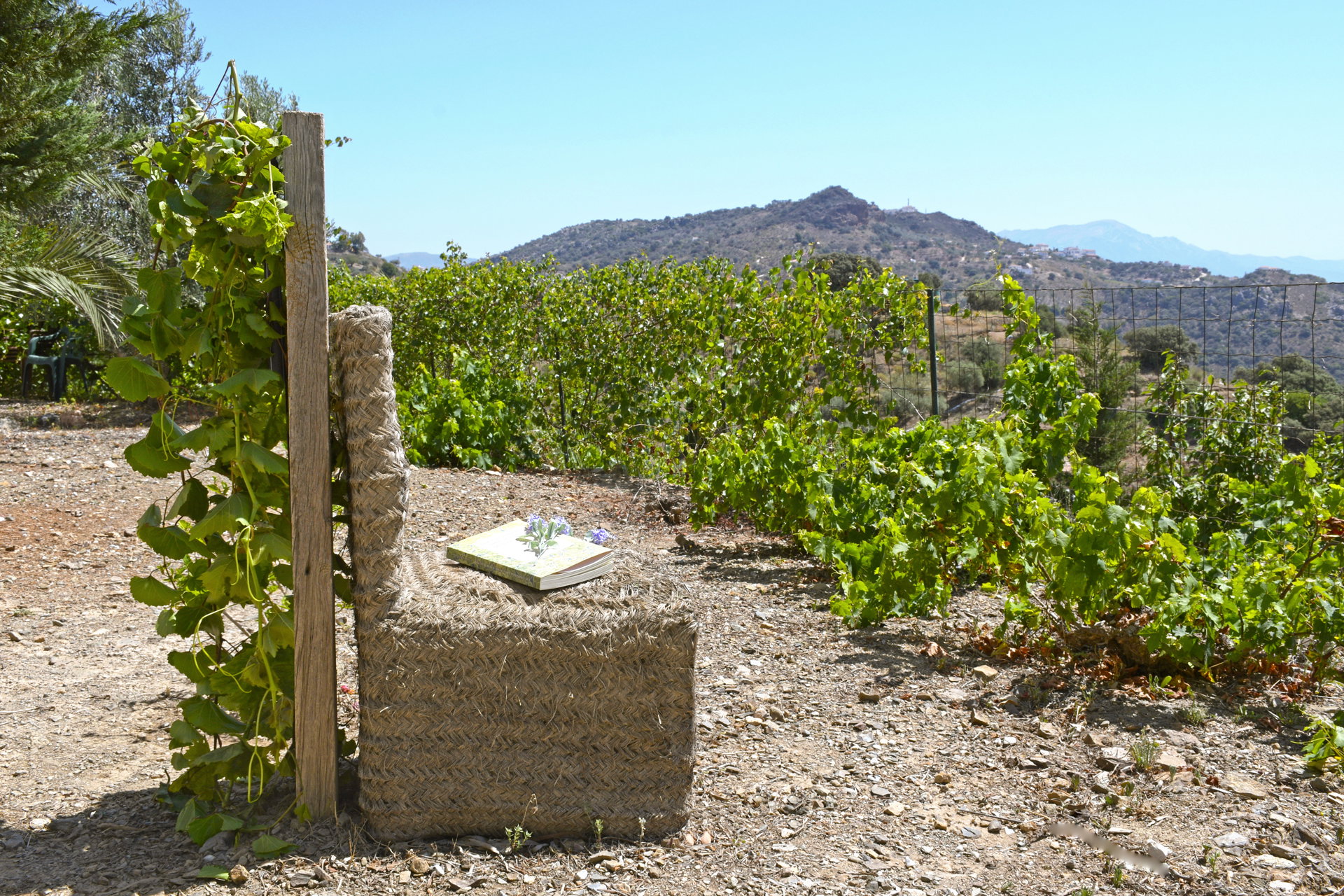 Naturhäuschen in Comares