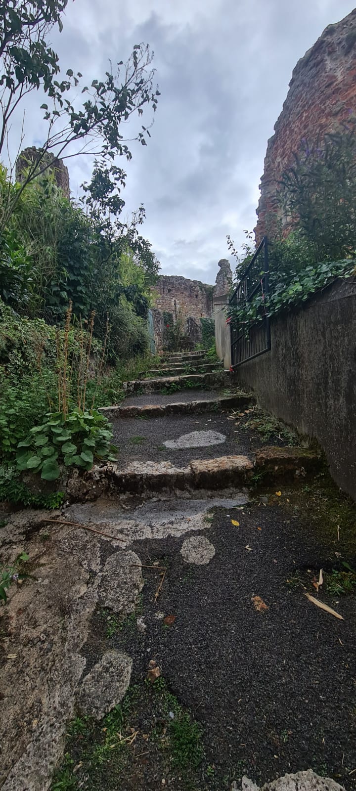 - image: 41