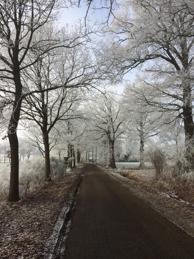 Natuurhuisje in Hellendoorn