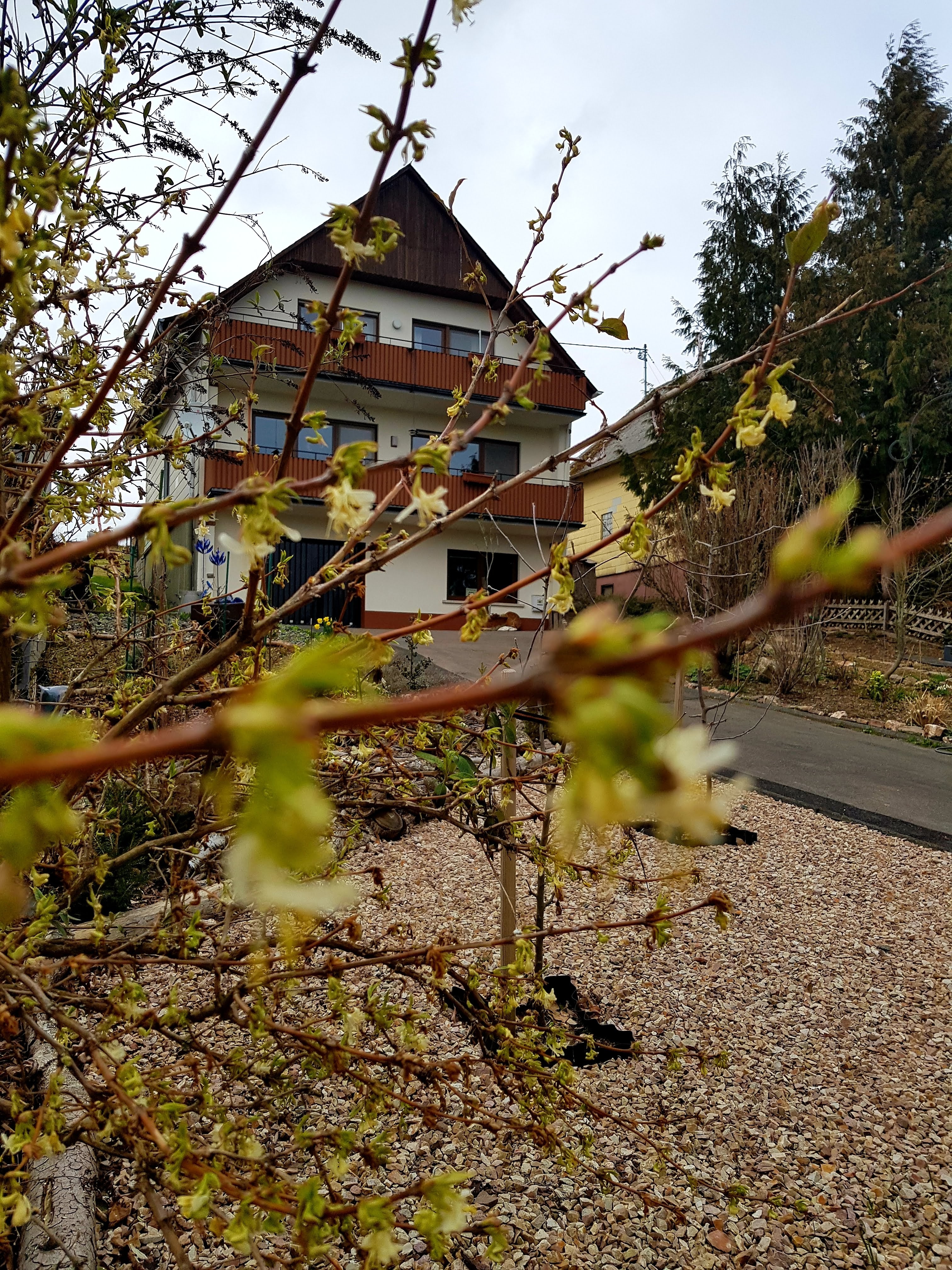 Natuurhuisje in Wirschweiler