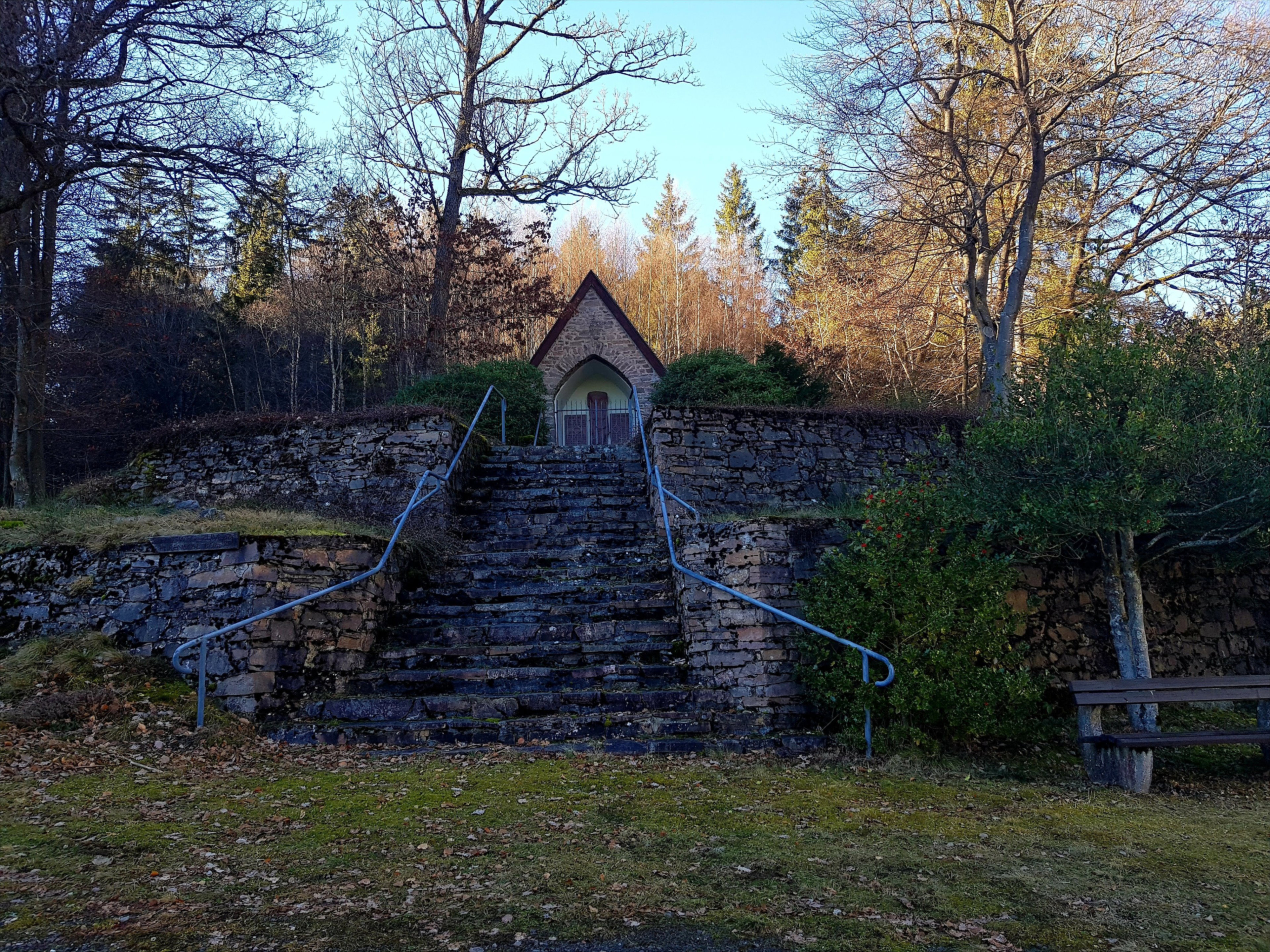 - image: 41