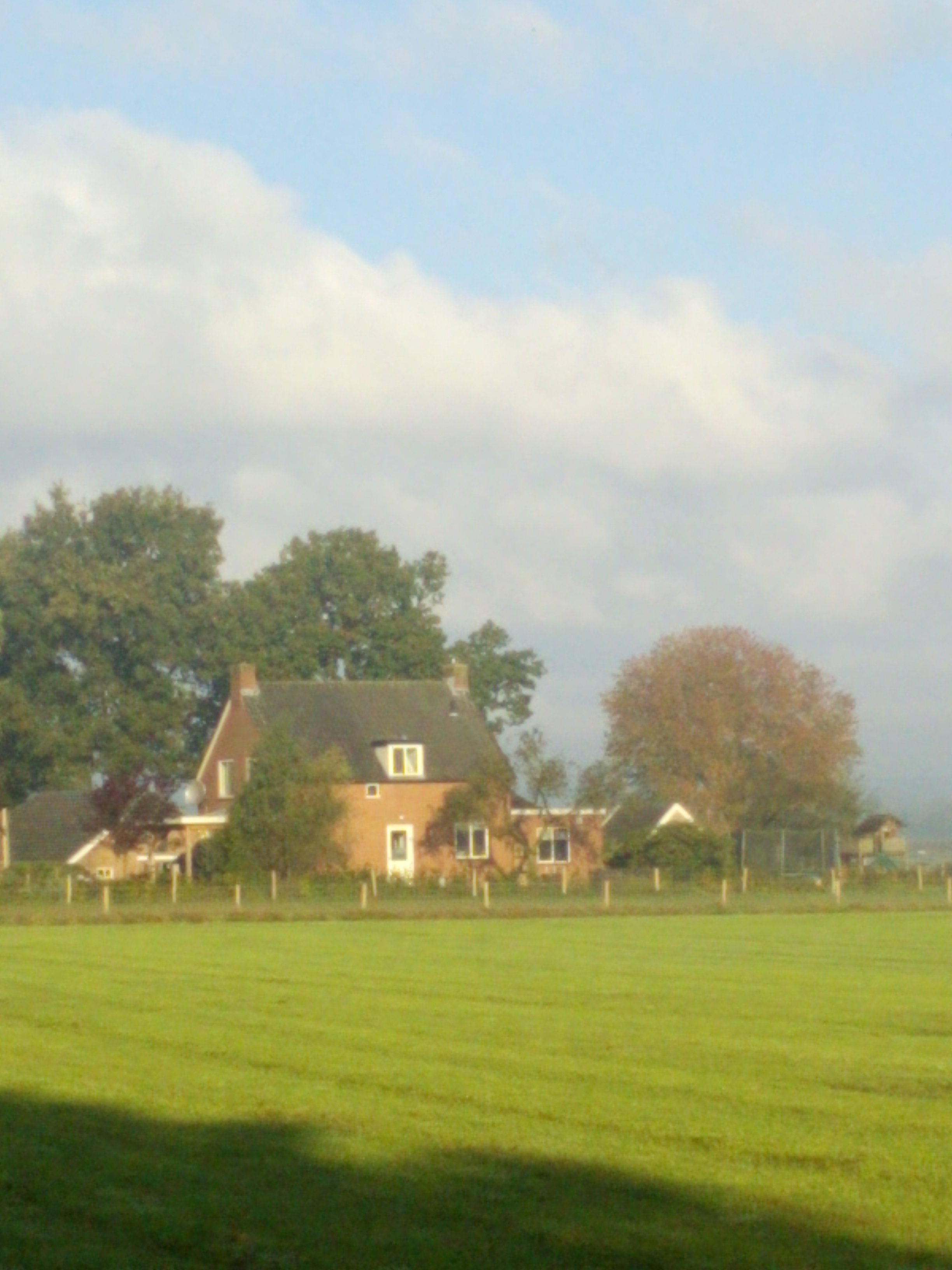 - image: 29