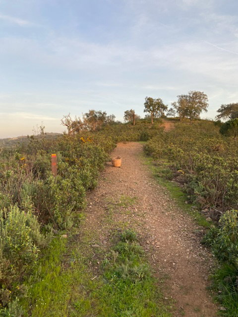 - image: 20